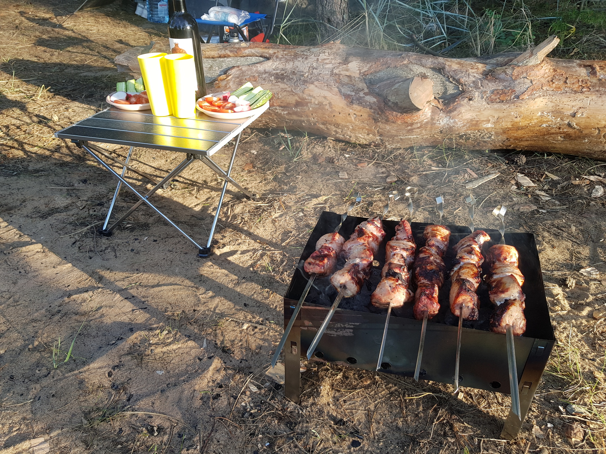 PVD on the beach in Bolshaya Izhora - My, A bike, Shashlik, Meat, PVD, Hike, Beach, Tent, Doshirak, Nature, Calmness, Longpost, Saint Petersburg