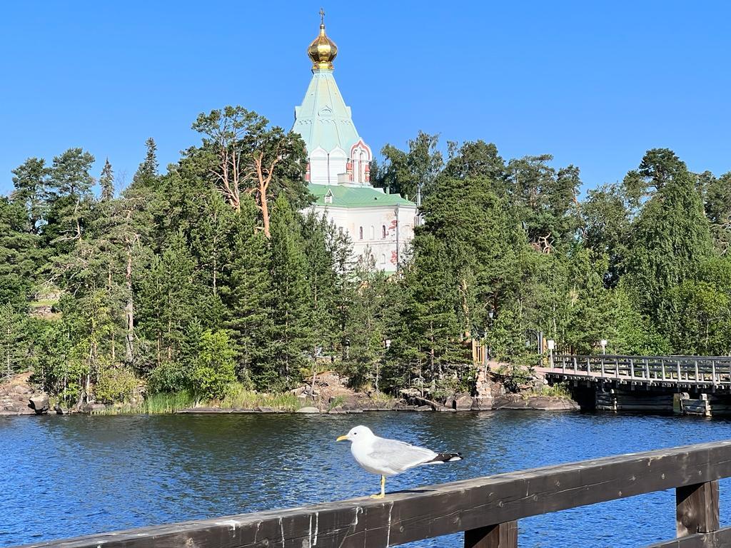 Farm on Ladoga. Rest in Karelia in the north of Lake Ladoga (24.07-06.08.2022) - My, Карелия, Ladoga, Holidays in Russia, Camping, Longpost