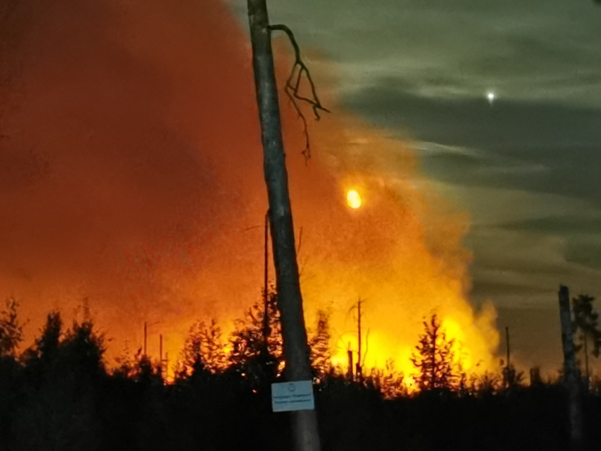 Emergency in Ryazan fire in the Spassky staircase - My, Ryazan, Longpost, Fire, Forest, State of emergency, Video, Soundless, Vertical video