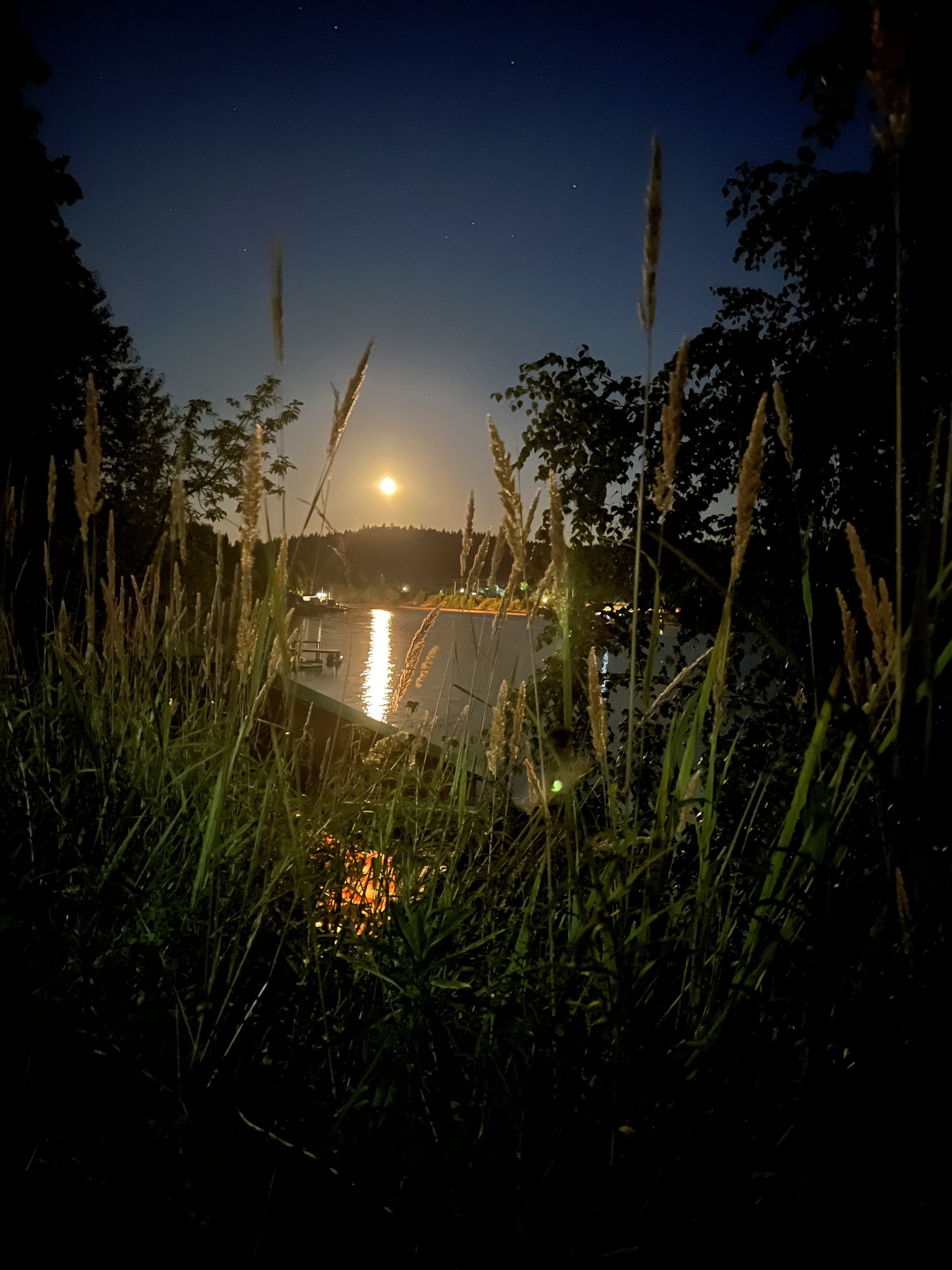 And the stars fall behind the gate, and the bucket in the sky is turned upside down. (C) - My, Mobile photography, Big Dipper, Ladle, moon, sylva, Longpost