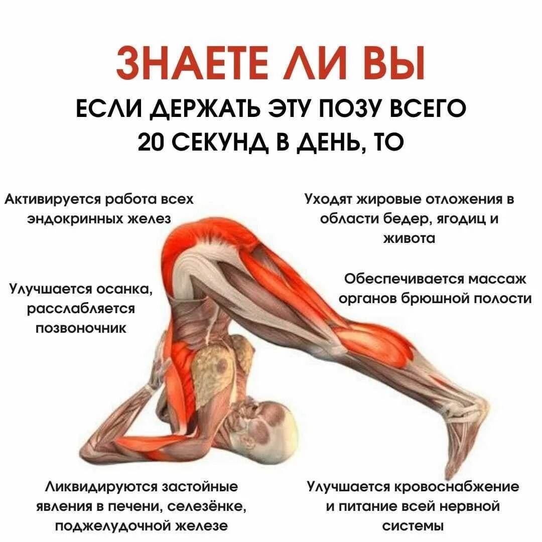 Полезное упражнения из йоги - Моё, Trend, Fitness House, Fitnes, A Fitness Workout