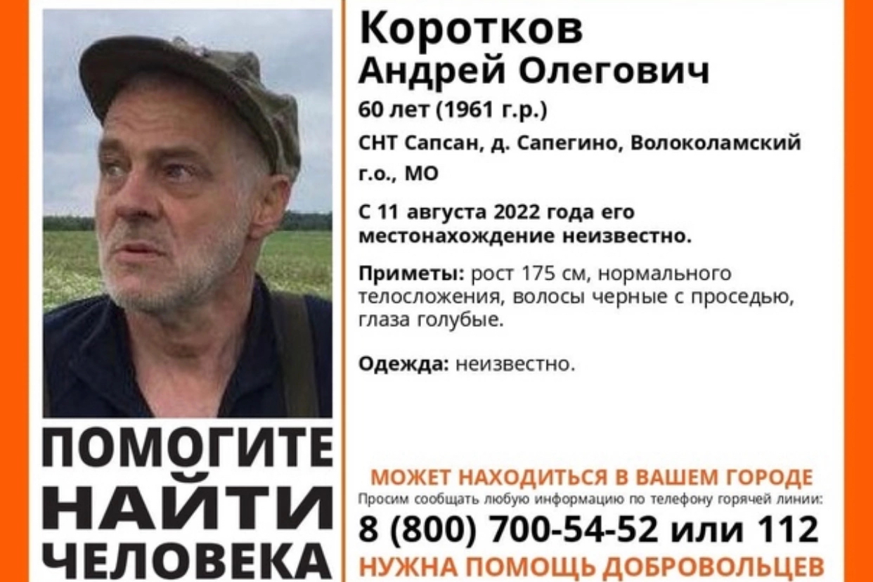 A man is gone! Please raise, no rating [Person found - died.] - My, Lisa Alert, No rating, Missing person, People search, Moscow region