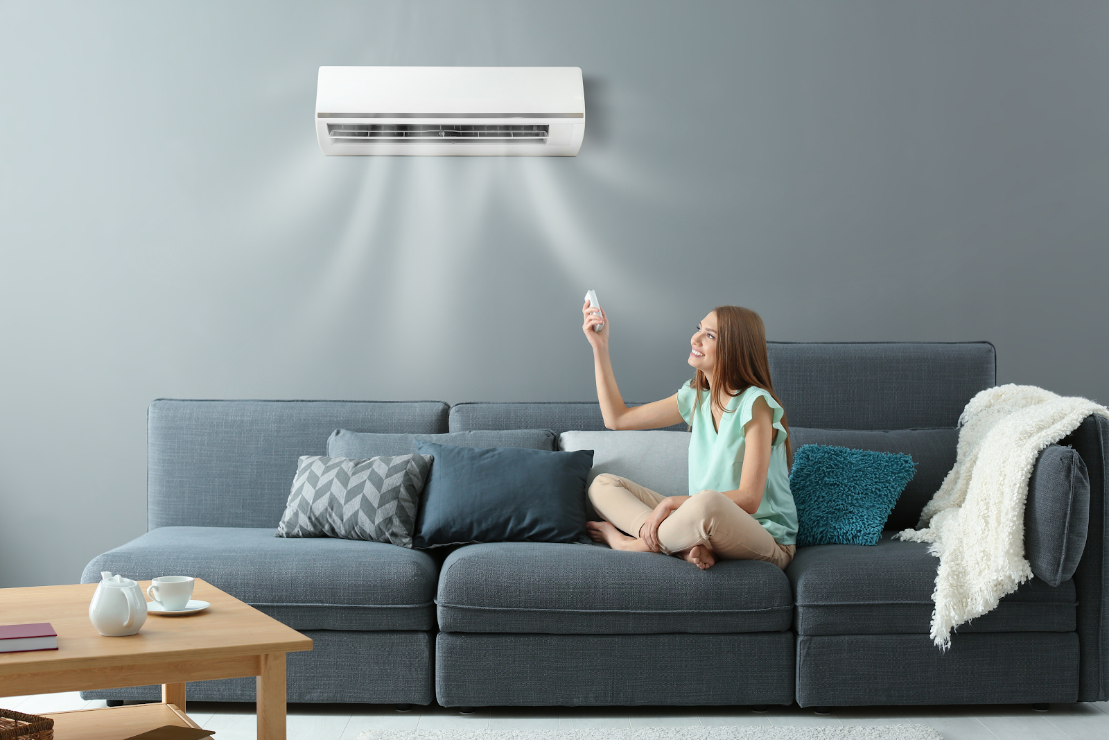 What is an air conditioner for? - Air conditioner, Interesting