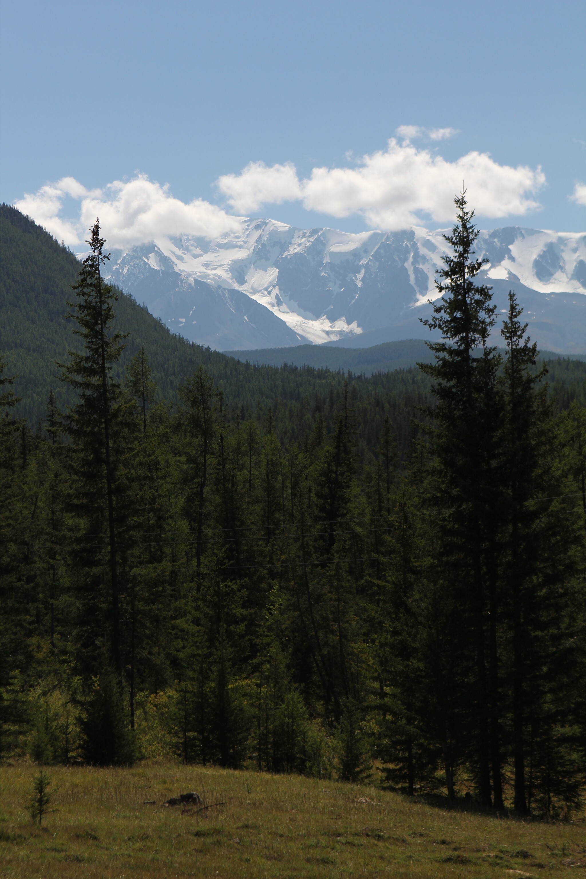 Республика Алтай. Район Курая - Моё, Фотография, Природа, Красота природы, Природа России, Республика Алтай, Горы, Курай, Пейзаж, Сибирь, Небо, Лес, Река, Россия, Путешествия, Путешествие по России, Туризм, Облака, Красота, Степь, Горизонт, Длиннопост