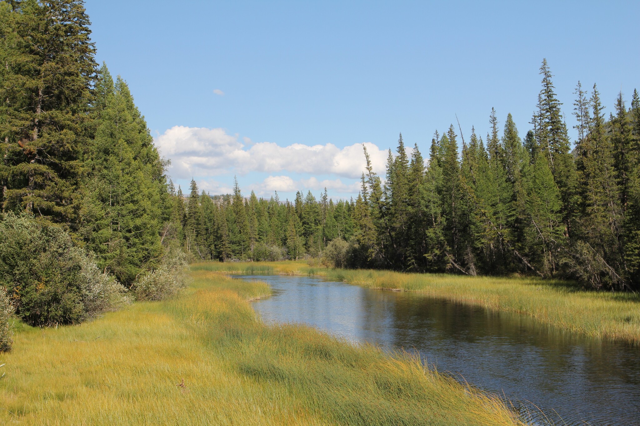 Altai Republic. Kuraya area - My, The photo, Nature, beauty of nature, The nature of Russia, Altai Republic, The mountains, Kuray, Landscape, Siberia, Sky, Forest, River, Russia, Travels, Travel across Russia, Tourism, Clouds, beauty, Steppe, Horizon, Longpost