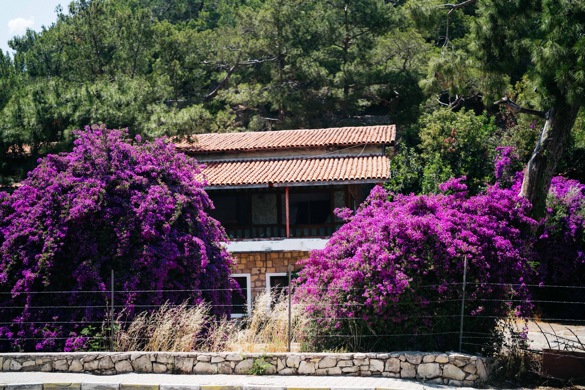 Walking from Kemer to Phaselis through an abandoned hotel - My, Travels, Turkey, Ruin, Ruins, Kemer, Walking, Longpost, The photo