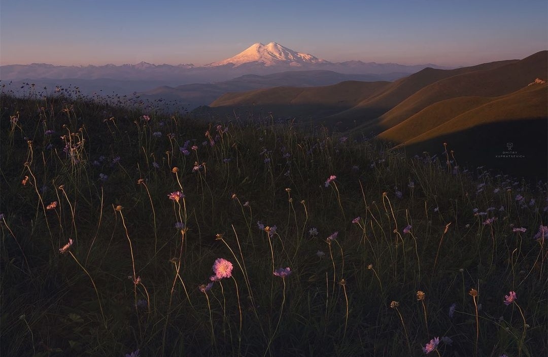 Elbrus - The photo, Russia, beauty, The mountains, Elbrus, Nature, beauty of nature, The nature of Russia, Flowers, Landscape, Caucasus