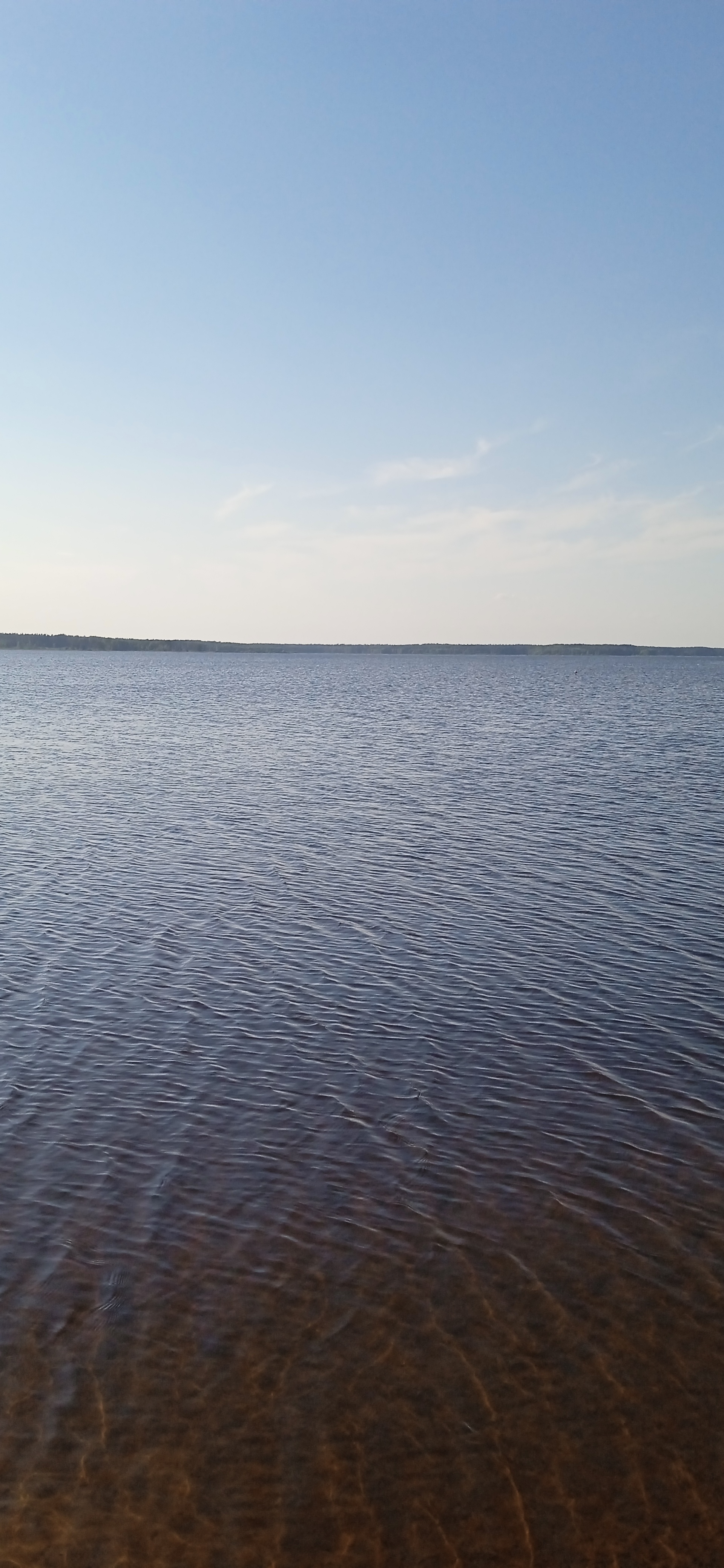 Lake Peno August - My, Lake, The nature of Russia, Longpost