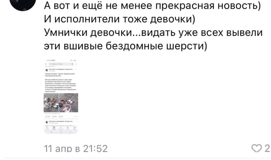 Teenagers strangled a cat with a bag - My, Flailing, cat, Animal protection, Rostov-on-Don, Teenagers, Longpost, Negative