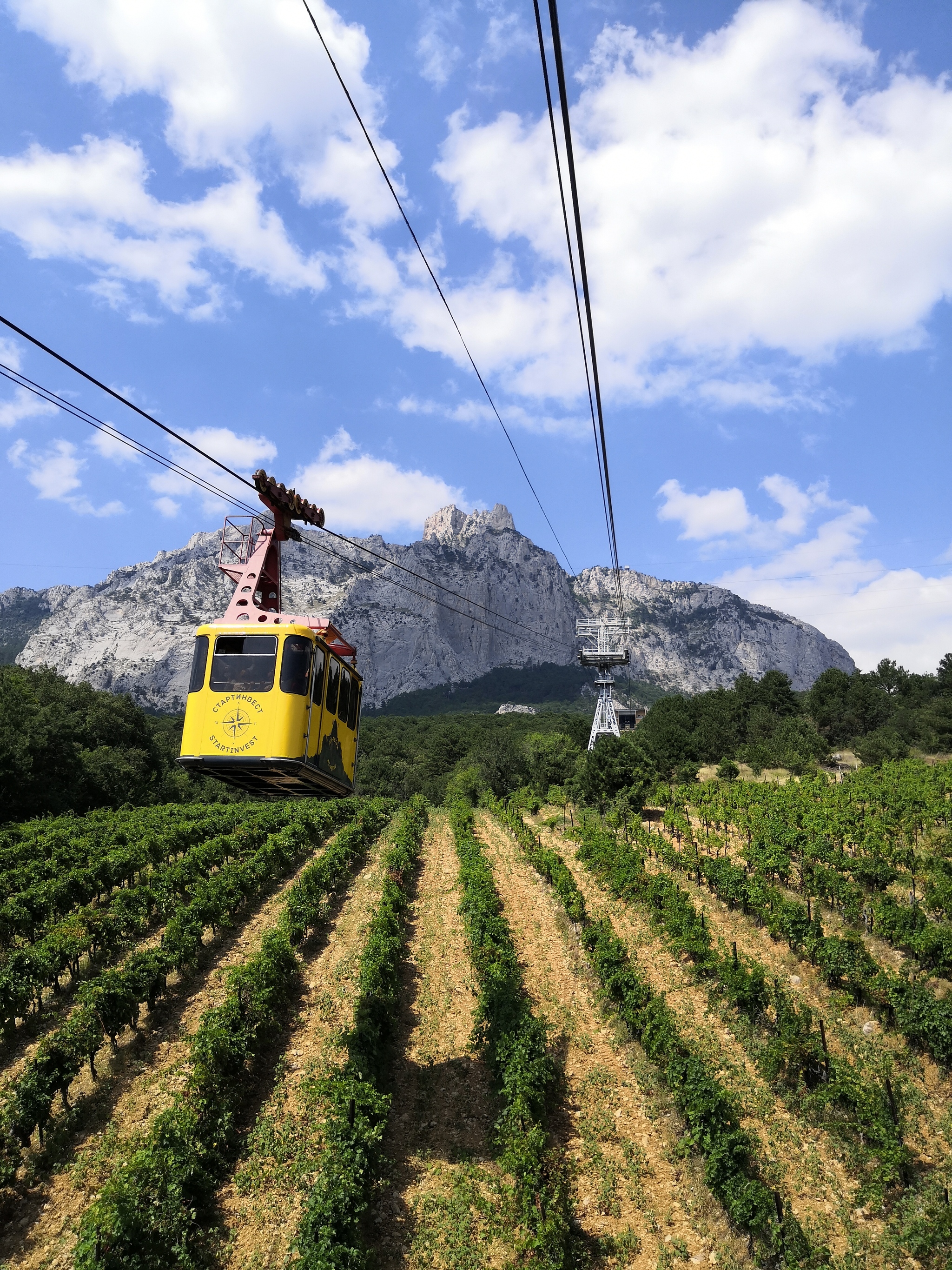 Ropeway Miskhor - Ai-Petri - My, Crimea, Ai-Petri, Cable car, Miskhor, The photo, Vineyard