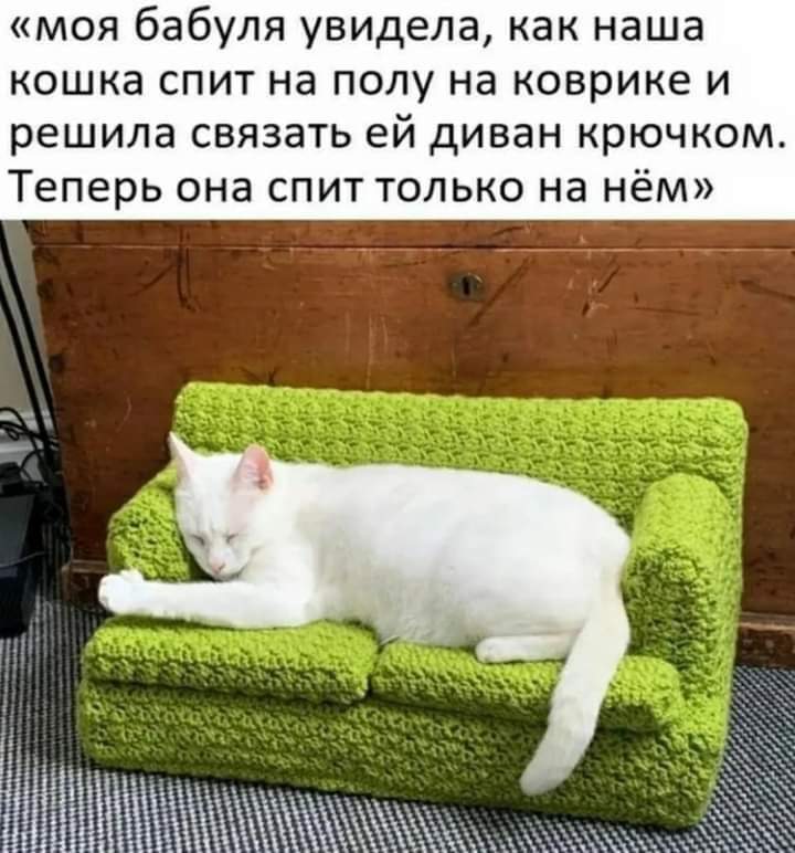 nyashka - cat, Picture with text, Sofa, Dream