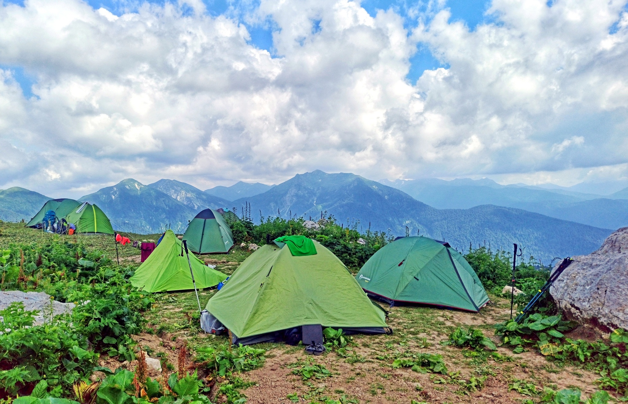 Continuation of the post Caucasian State Natural Biosphere Reserve - My, The photo, Nature, The nature of Russia, Russia, beauty of nature, Caucasus, The mountains, Mountain tourism, Republic of Adygea, Caucasian Reserve, River, Flowers, Sky, Landscape, Reserves and sanctuaries, Forest, beauty, Gotta go, Horses, Tourism, Reply to post, Longpost