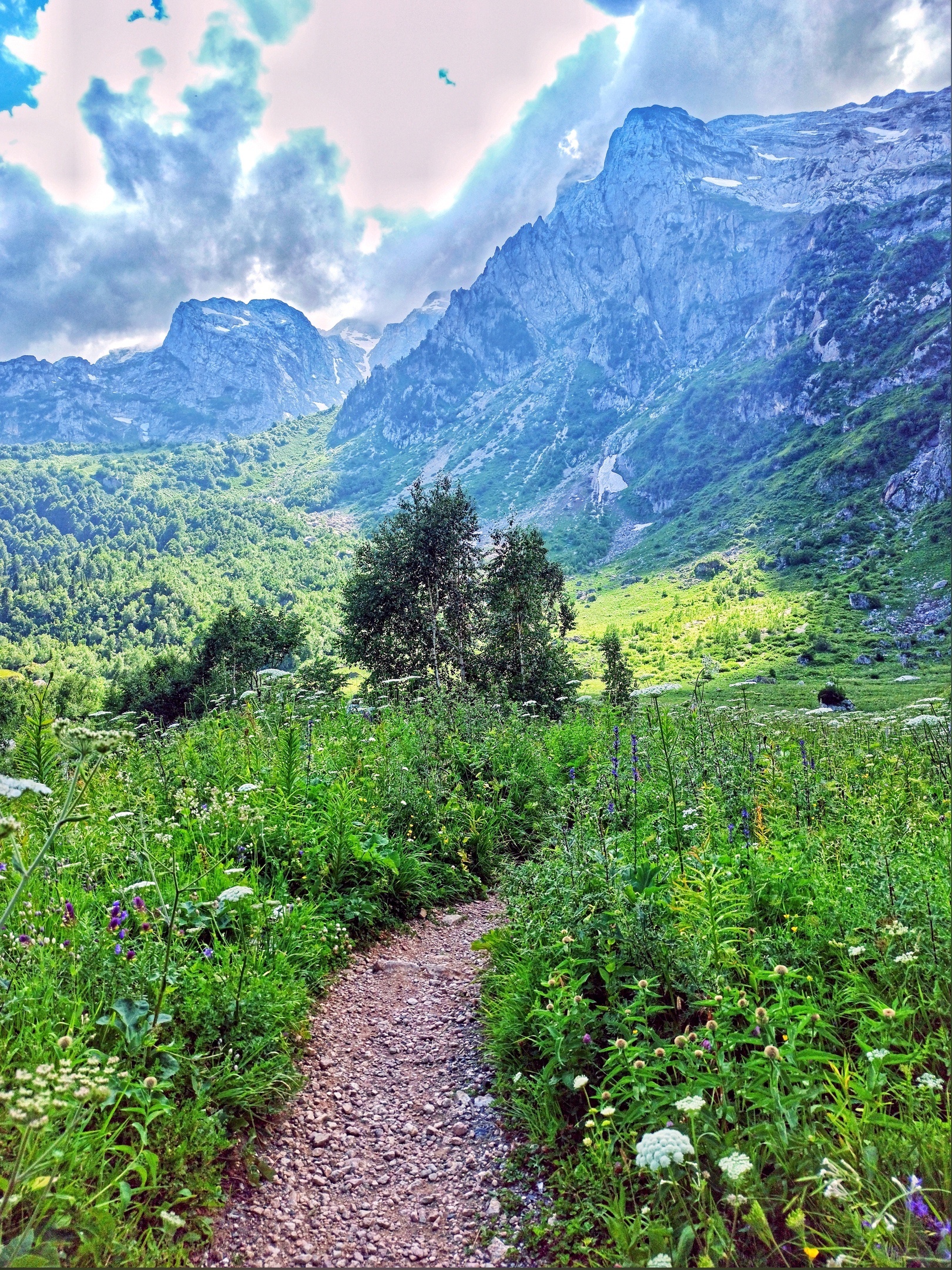 Continuation of the post Caucasian State Natural Biosphere Reserve - My, The photo, Nature, The nature of Russia, Russia, beauty of nature, Caucasus, The mountains, Mountain tourism, Republic of Adygea, Caucasian Reserve, River, Flowers, Sky, Landscape, Reserves and sanctuaries, Forest, beauty, Gotta go, Horses, Tourism, Reply to post, Longpost