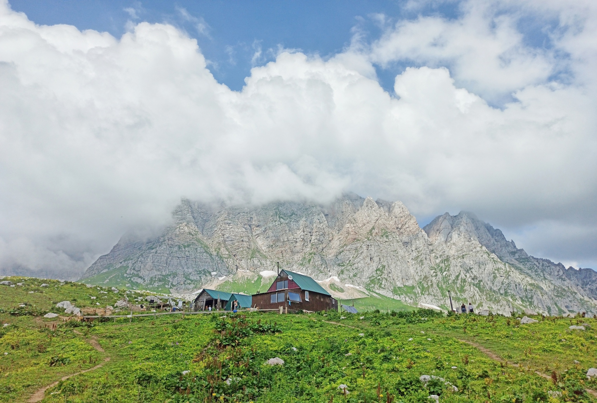 Continuation of the post Caucasian State Natural Biosphere Reserve - My, The photo, Nature, The nature of Russia, Russia, beauty of nature, Caucasus, The mountains, Mountain tourism, Republic of Adygea, Caucasian Reserve, River, Flowers, Sky, Landscape, Reserves and sanctuaries, Forest, beauty, Gotta go, Horses, Tourism, Reply to post, Longpost