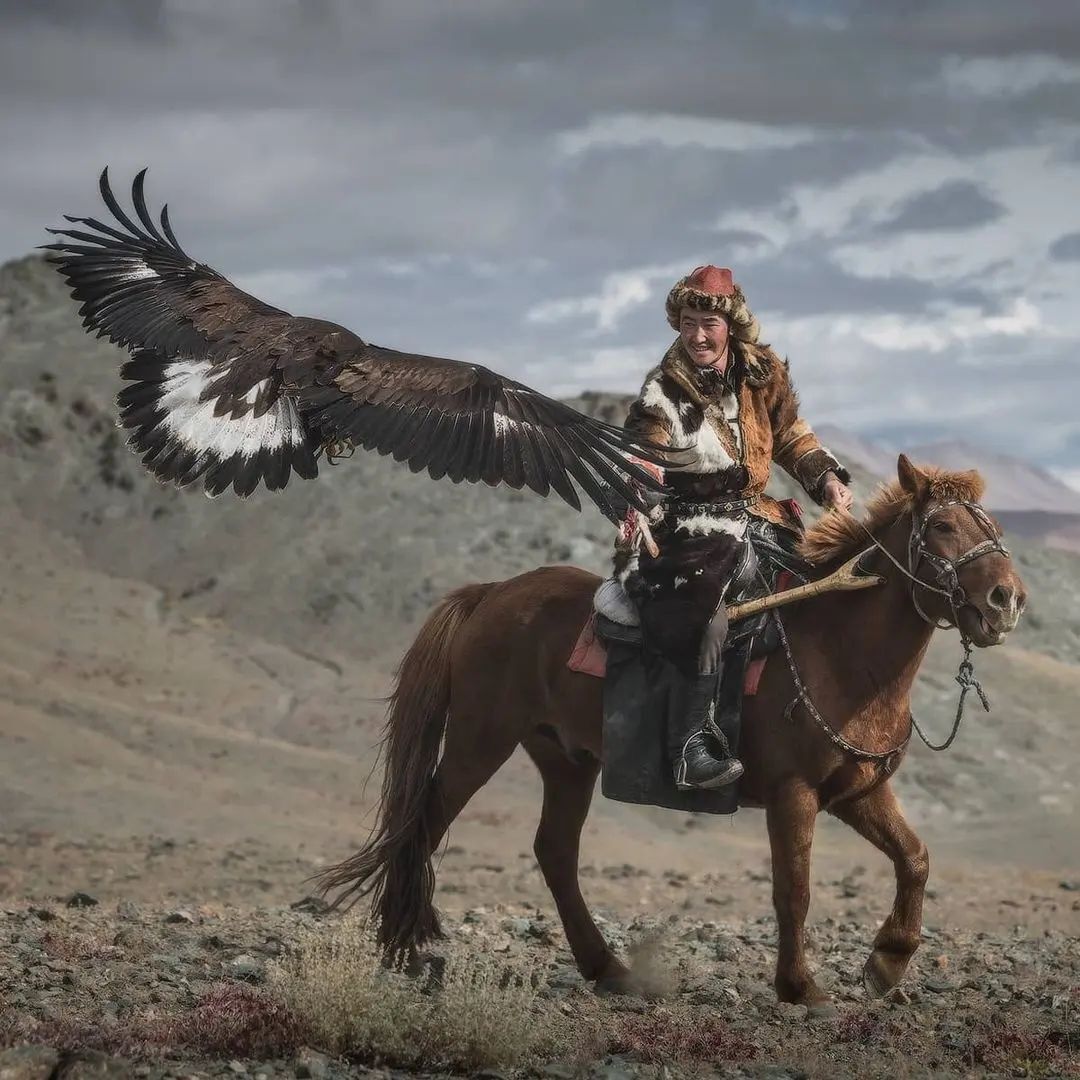 На белом коне монгол. Беркутчи Монголия. Монголия охота с Беркутом. Соколиная охота в Монголии. Кочевники Монголии