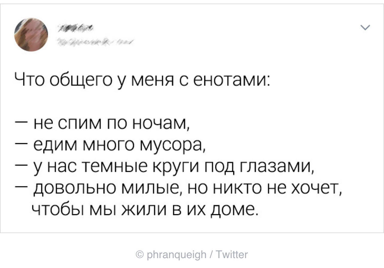 Много общего с енотами - Скриншот, ADME, Twitter, Енот