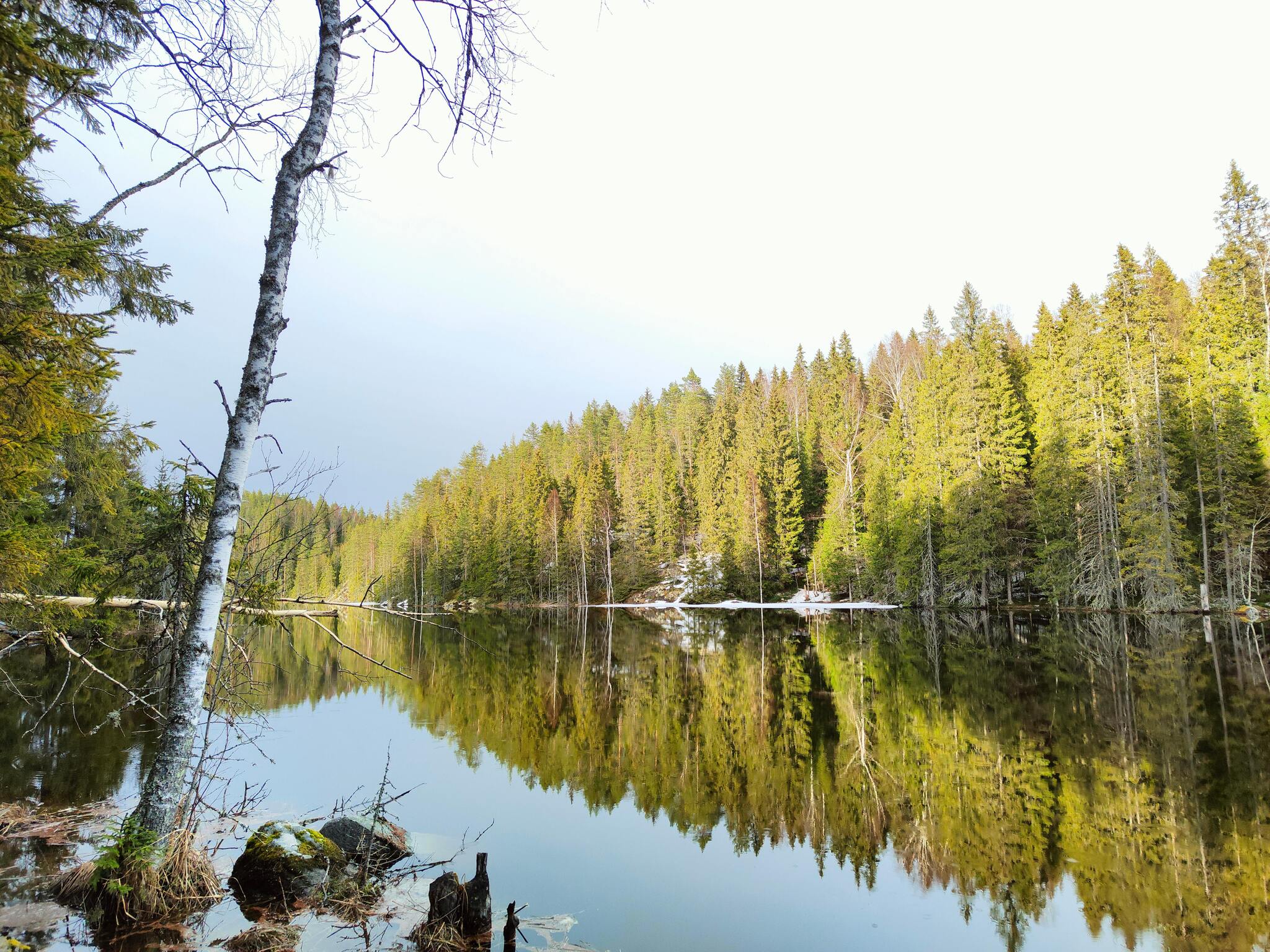 Karelia. The Kitenjoki River. May 1-2, 2022 - My, River, Alloy, Mobile photography, The nature of Russia, Карелия, Longpost