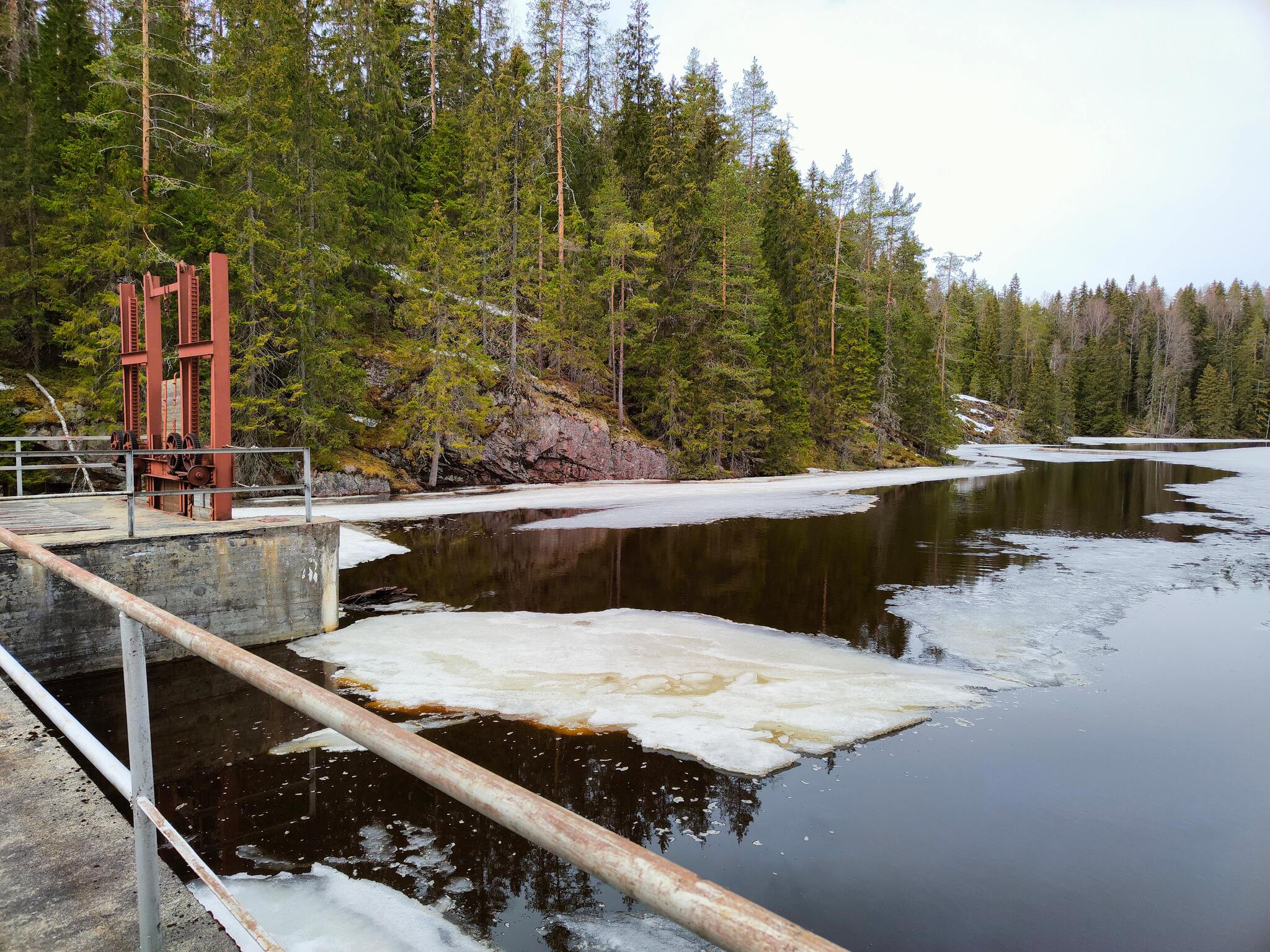 Karelia. The Kitenjoki River. May 1-2, 2022 - My, River, Alloy, Mobile photography, The nature of Russia, Карелия, Longpost