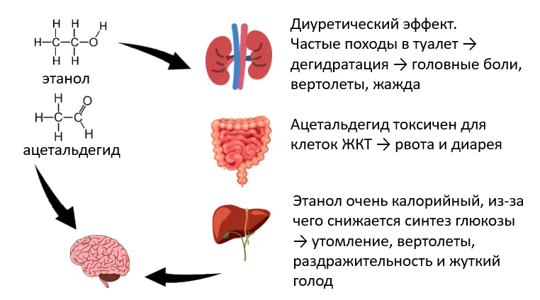 How to drink ... not water - My, Alcohol, Hangover, Alcoholism, Longpost