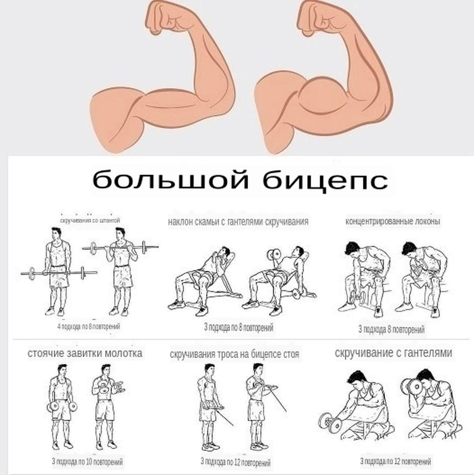 Комплекс упражнений для всех групп мышц
