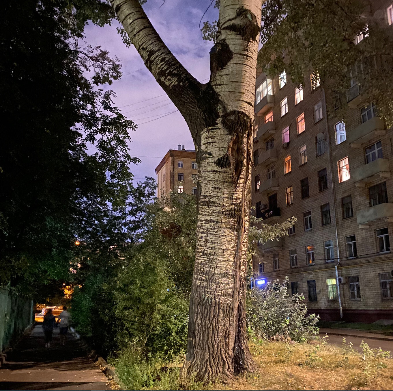 Кто коренной москвич