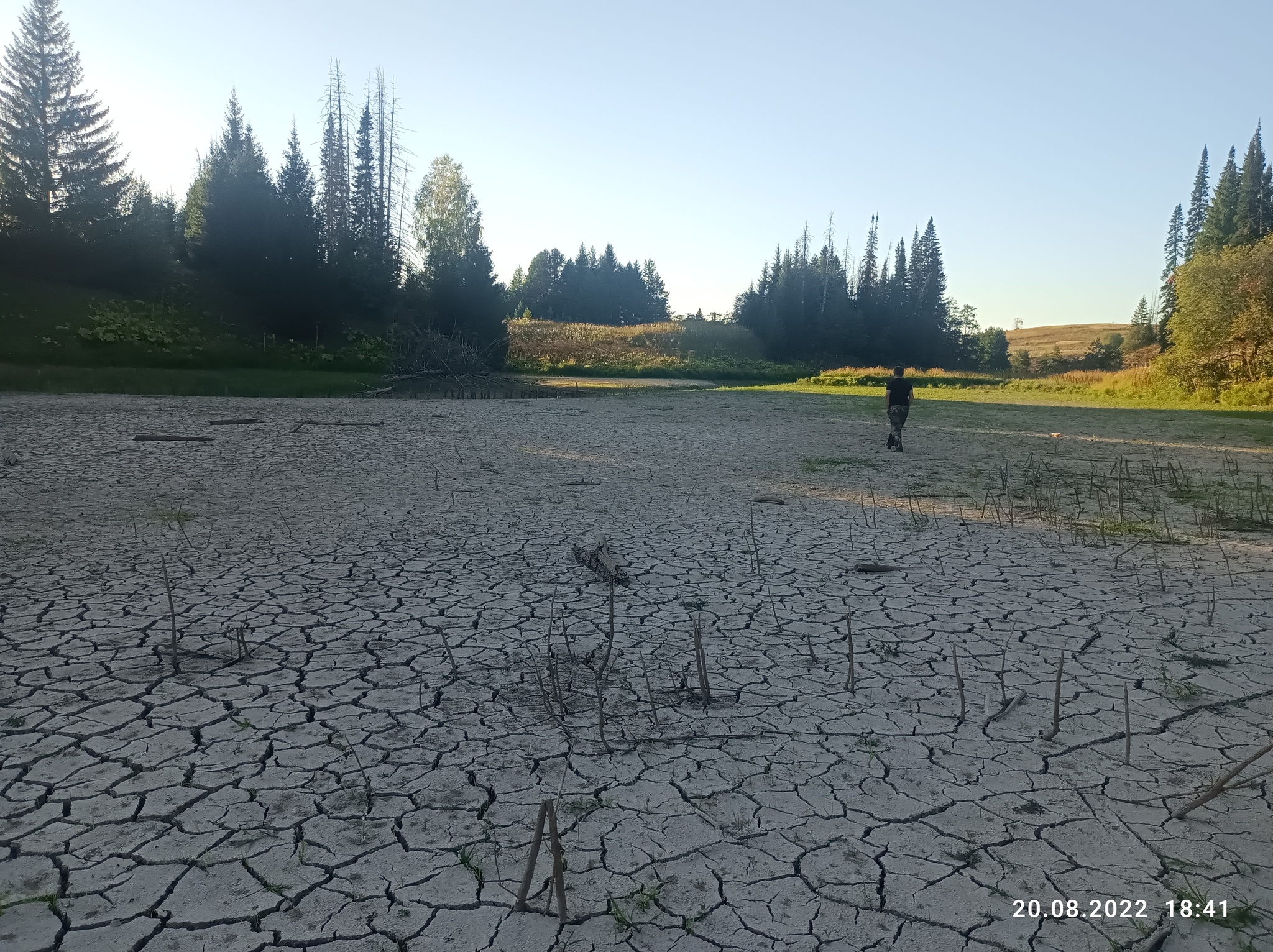 The pond is gone, the impressions remain - My, wildlife, The photo, Water, Longpost, Children