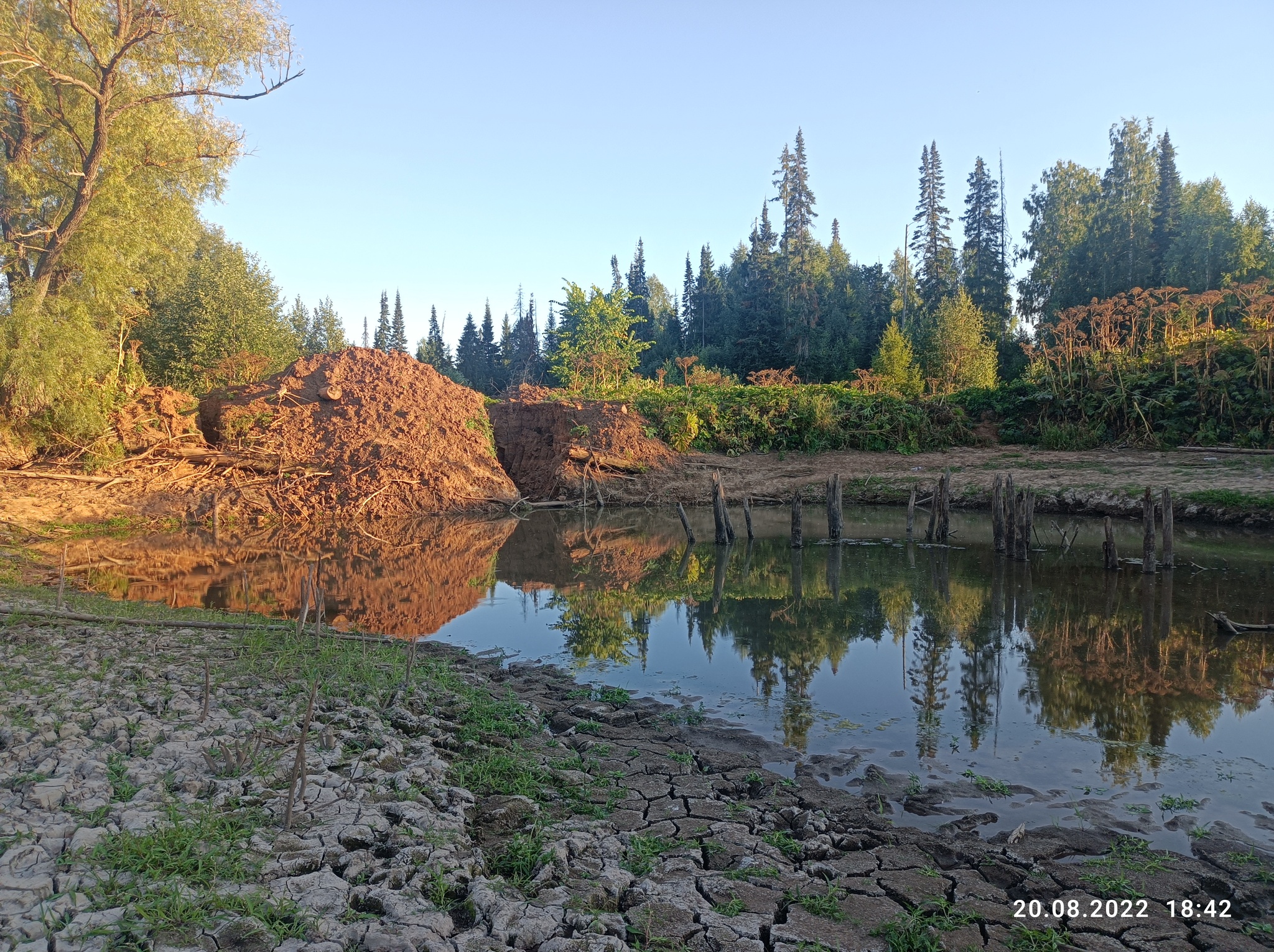 The pond is gone, the impressions remain - My, wildlife, The photo, Water, Longpost, Children