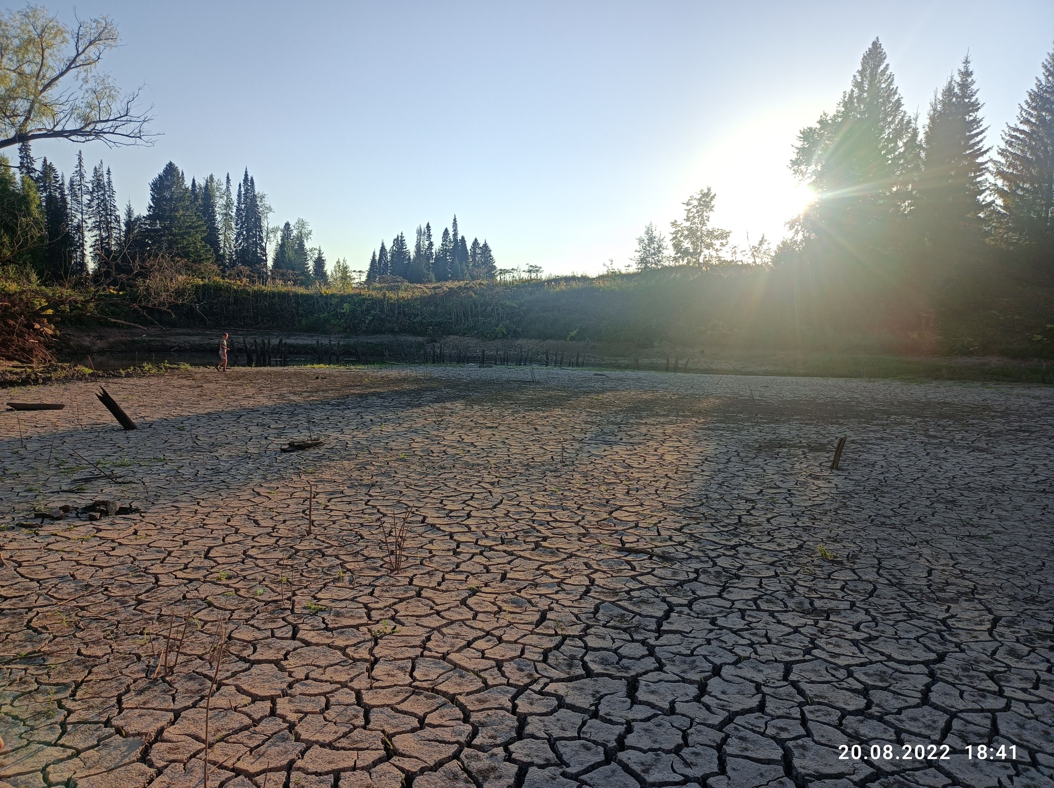 The pond is gone, the impressions remain - My, wildlife, The photo, Water, Longpost, Children