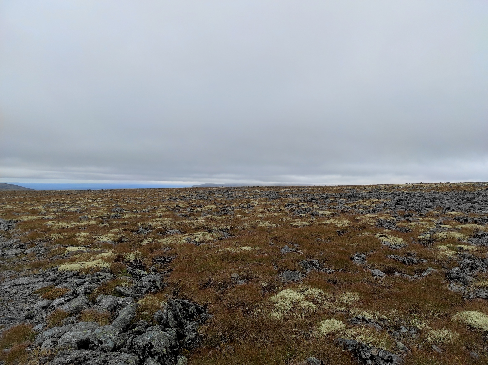 Lovozero Tundra 2021. 1st class Day 3 - My, Hike, Adventures, Author's story, Prose, The mountains, To be continued, Writing, Tracking, Backpack, Lovozero, Kola Peninsula, Tundra, Video, Longpost