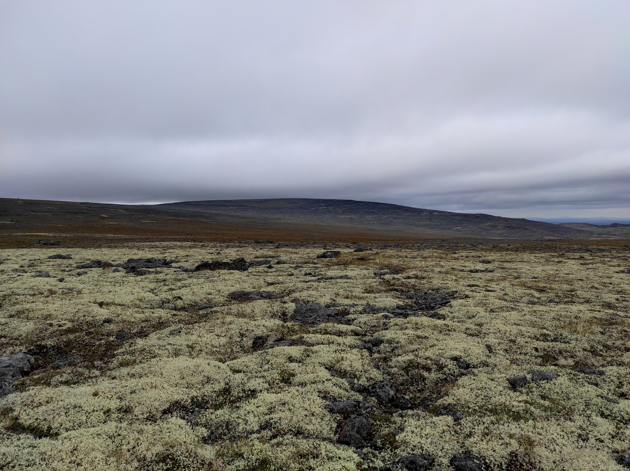 Lovozero Tundra 2021. 1st class Day 3 - My, Hike, Adventures, Author's story, Prose, The mountains, To be continued, Writing, Tracking, Backpack, Lovozero, Kola Peninsula, Tundra, Video, Longpost