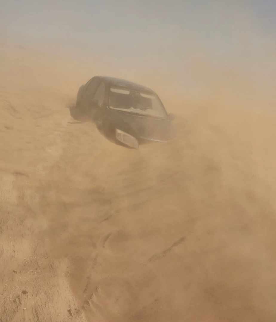 Disaster in the steppe of Dagestan - Dust storm, Nogais, Herd, Ecology, Help, Steppe, Human ecology, Video, Vertical video