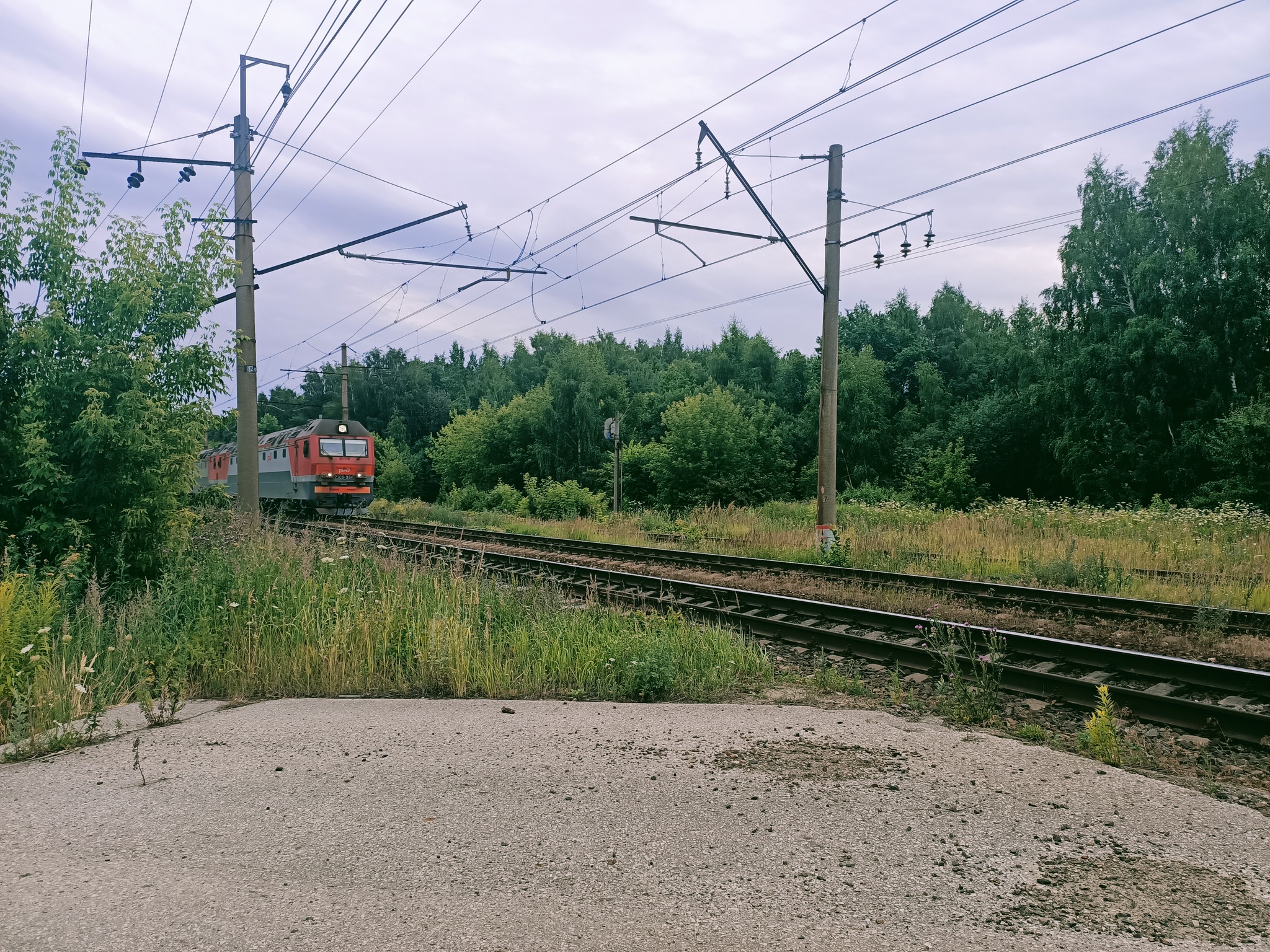 До аэропорта - Моё, Gravel, Рязань, Велосипед, Велосипедист, Велопрогулка, Велопутешествие, Длиннопост