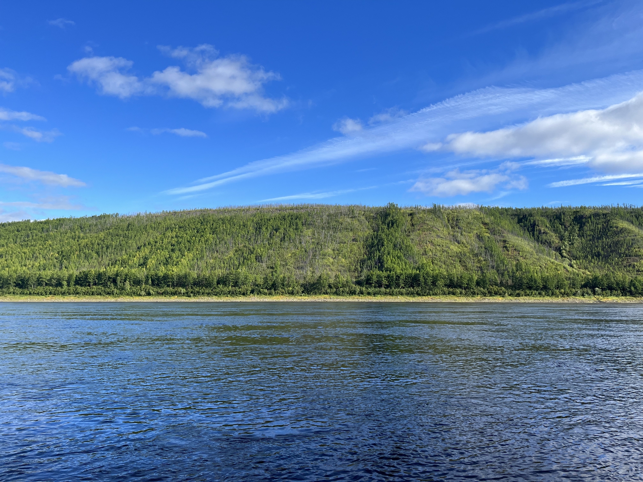 Vacation in the capital of Evenkia - My, Photographer, North, The nature of Russia, Krasnoyarsk region, Nizhnyaya Tunguska, Rook, Laika, Dog, Longpost