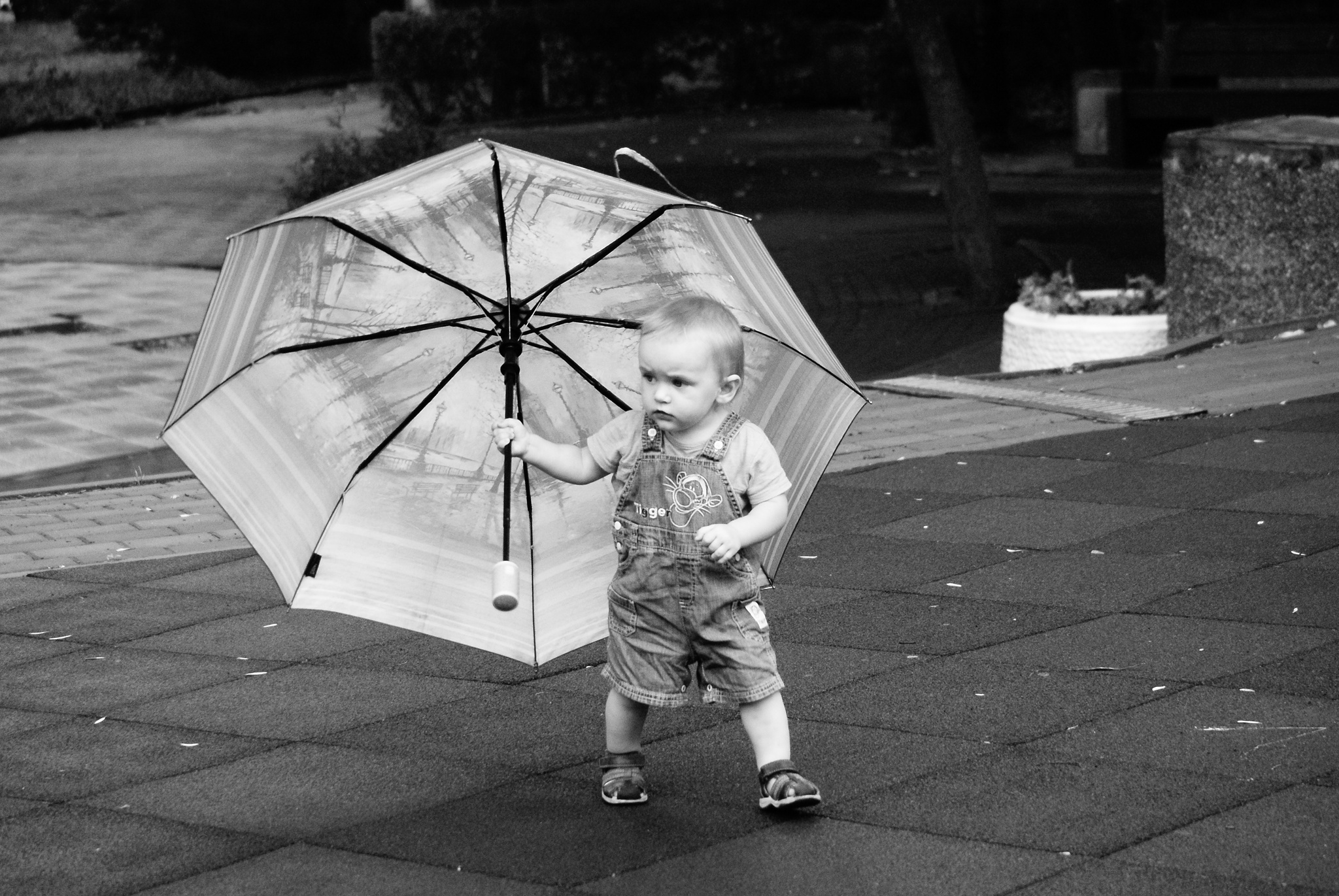 Window to summer - My, Black and white, Summer, Children, Photographer, City walk, Holidays, The photo, The park, Beach season, Longpost