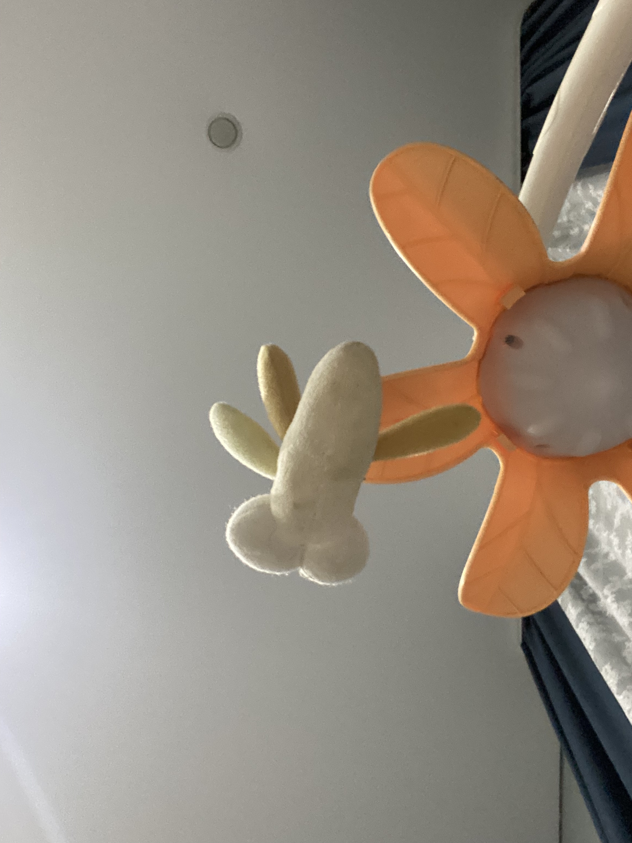 Today I went to visit a friend, I noticed such a toy for children. For everyone, this is a dragonfly, for a child, not quite ... - My, Designers from God, Humor, For adults, Longpost, It seemed, Toys, Penis