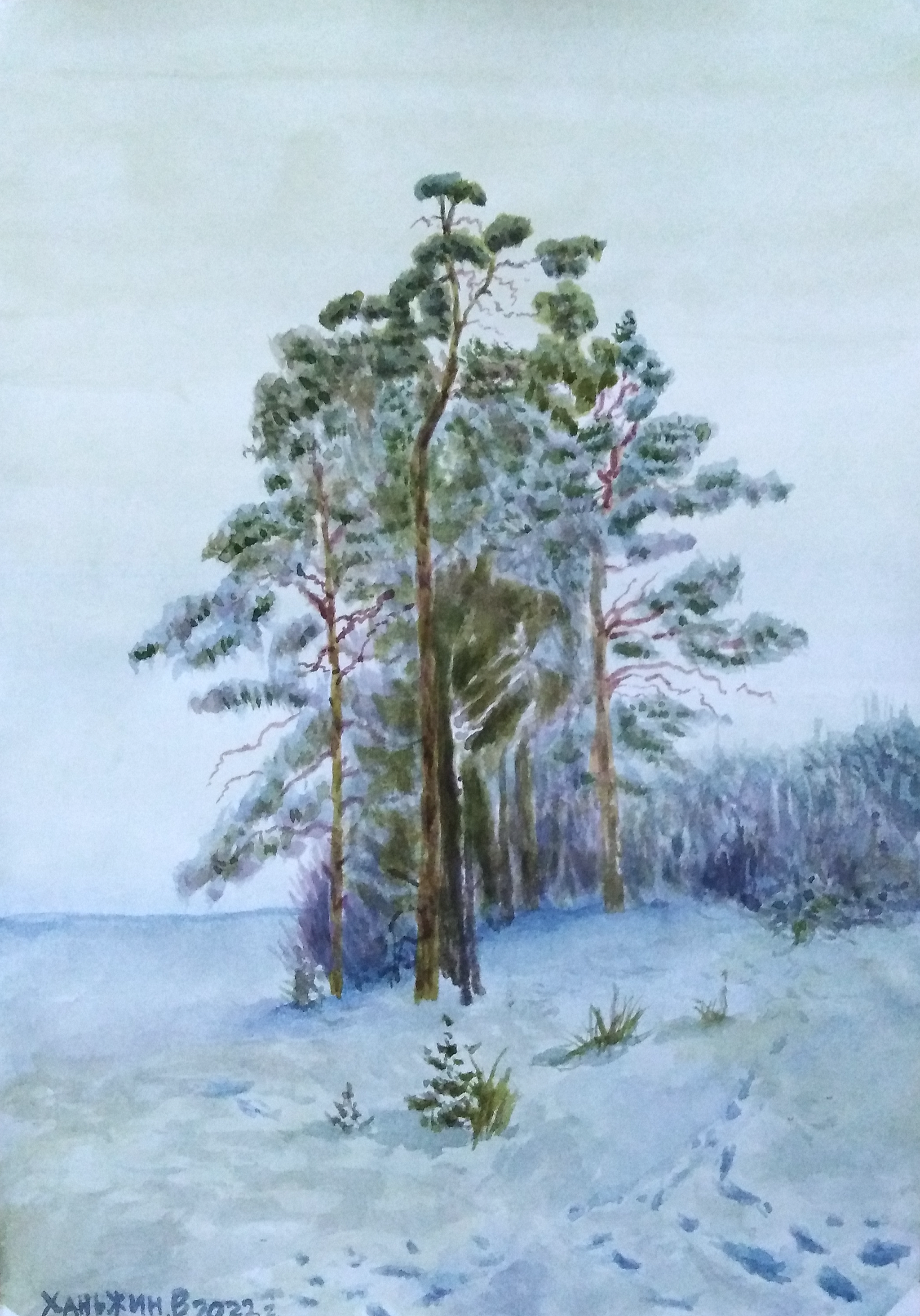 Painting of the Khanzhin family - My, Art, Painting, Landscape, Painting, Watercolor, Winter, Pine, Forest, Snow, Cold