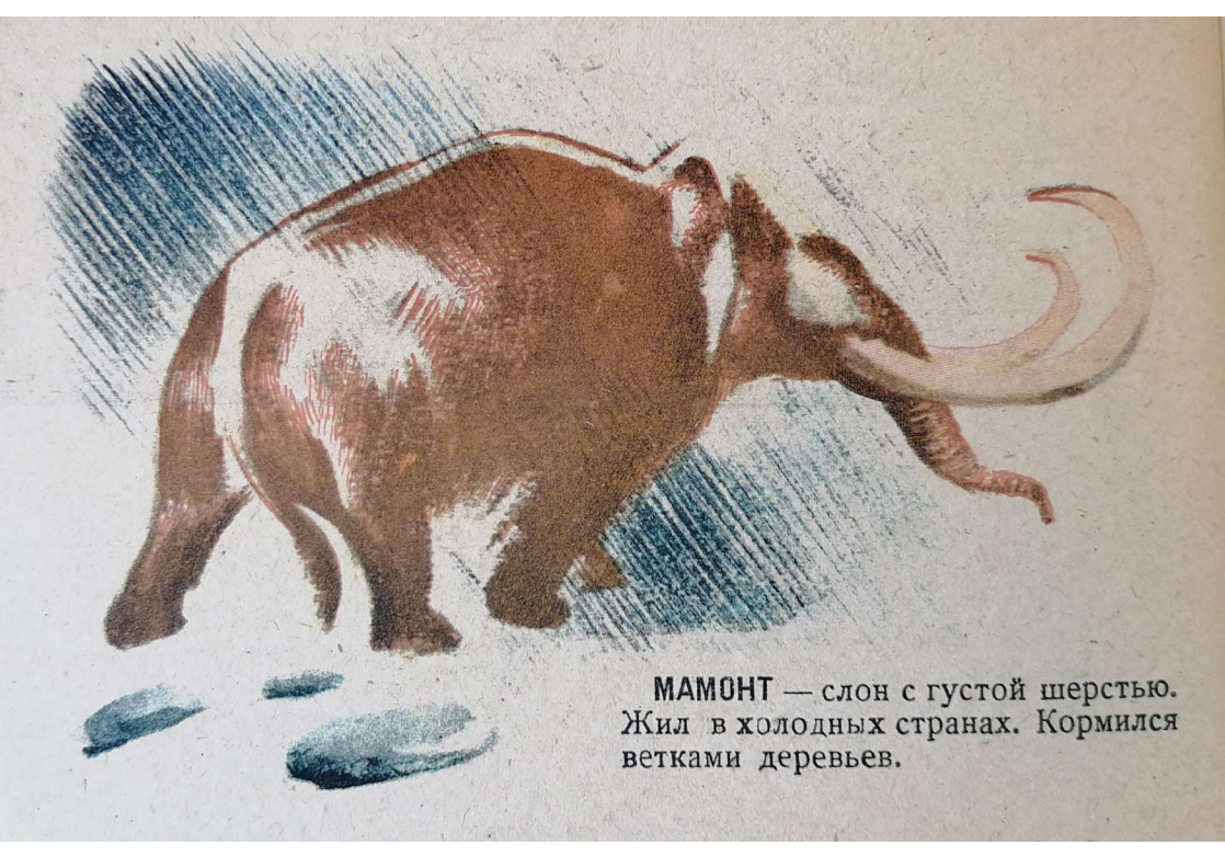 Extinct animals. Publishing house peasant newspaper, 1929 - Biology, Animals, Paleontology, Dinosaurs, Extinct species, Soviet literature, Encyclopedia, Longpost