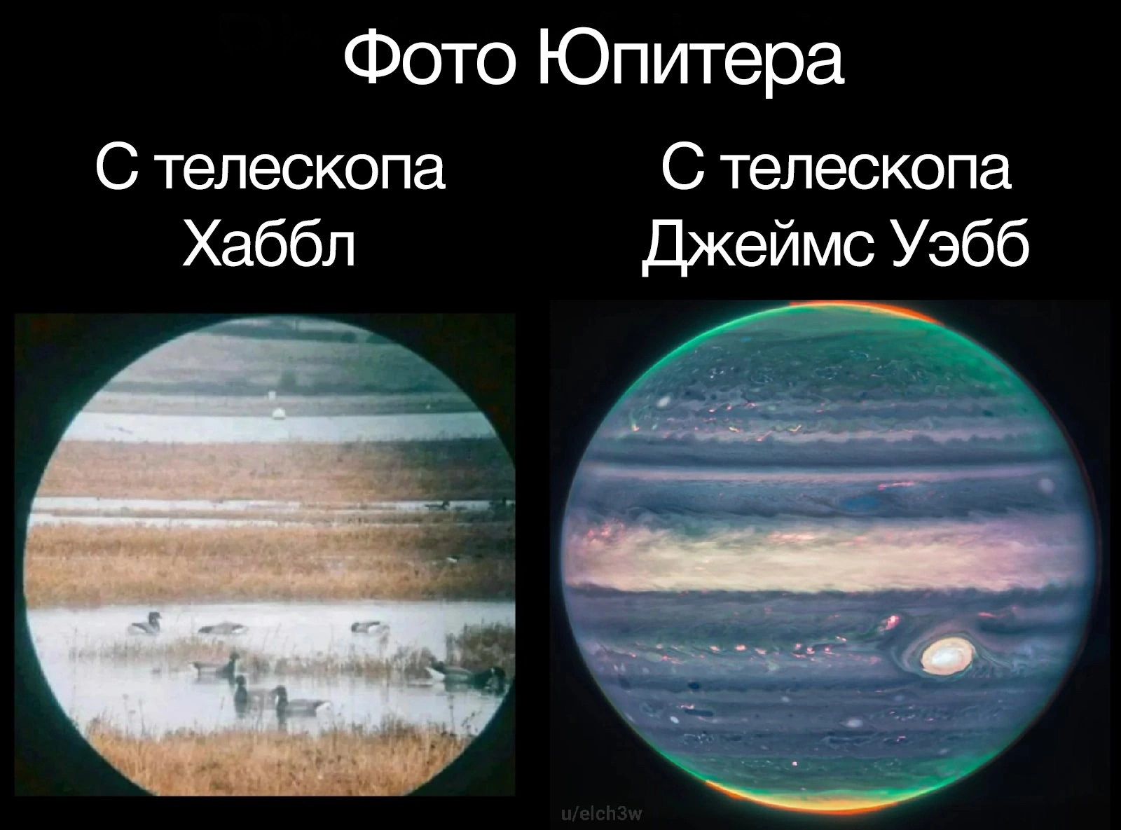 Visual comparison - Humor, Picture with text, Jupiter, Hubble telescope, James Webb Telescope, Comparison, Planet, Duck, Strange humor