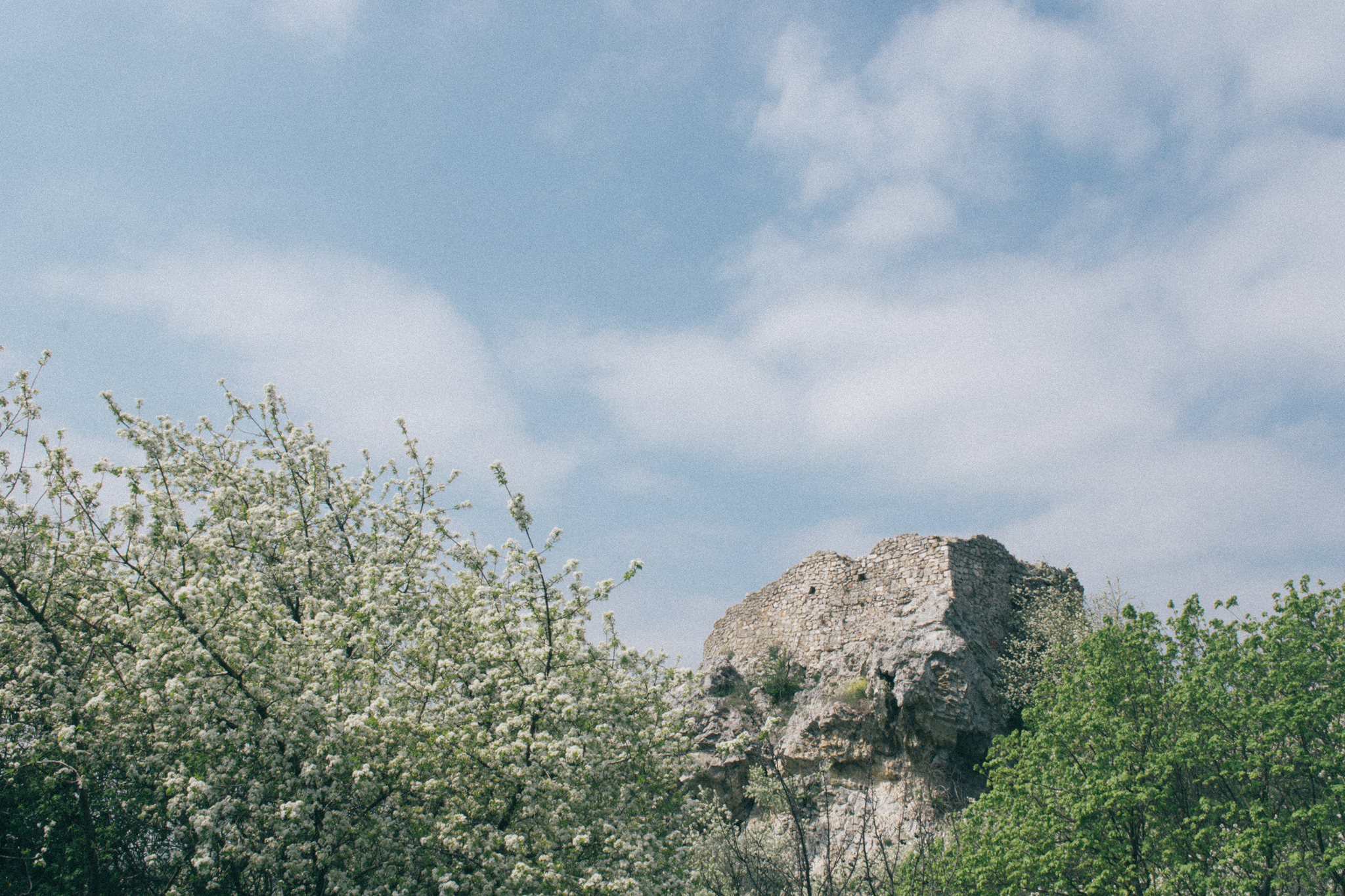 Devin Castle - My, The photo, Landscape, Sky, Devin, Slovakia, Lock, Danube, Travels, Ruin, The rocks, Nature, River, Longpost