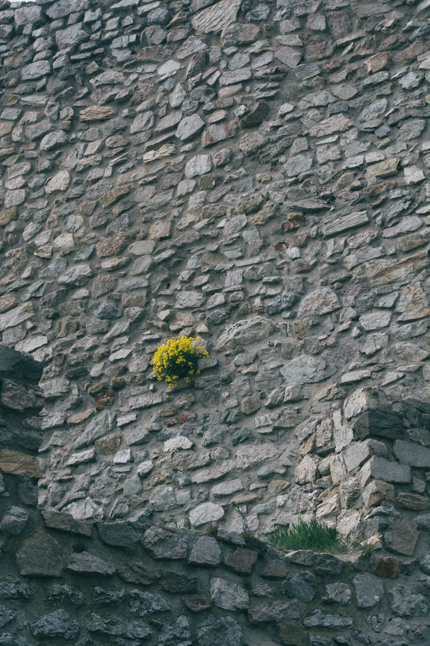 Devin Castle - My, The photo, Landscape, Sky, Devin, Slovakia, Lock, Danube, Travels, Ruin, The rocks, Nature, River, Longpost