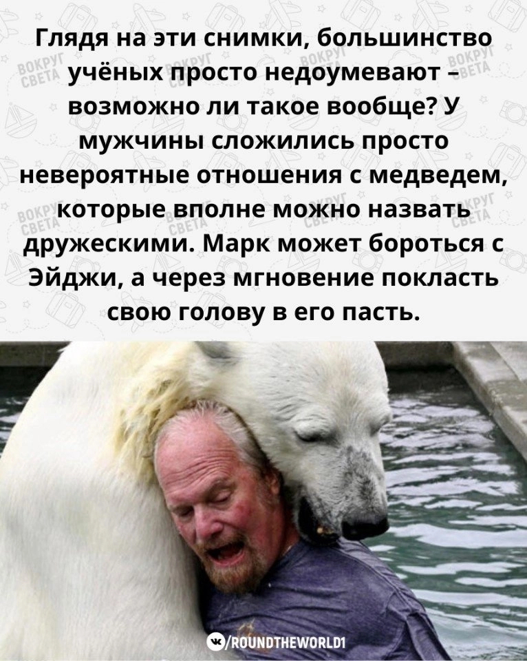 Unusual friendship - Polar bear, friendship, Milota, Longpost