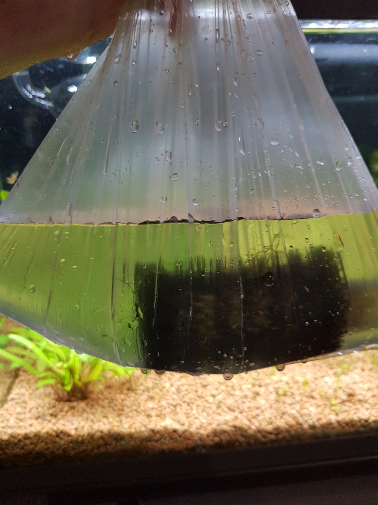 A unique method for aquarists, just one simple Soviet... - My, Aquarium, Aquarium, Filter, Advice, Life hack, , Longpost