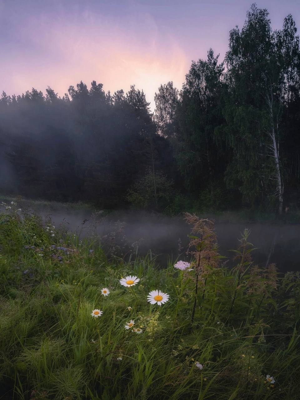 And this is how the morning begins on the Iset, Sverdlovsk region - The photo, Village, House, Nature, Morning, Fog, Field, dawn, Mobile photography