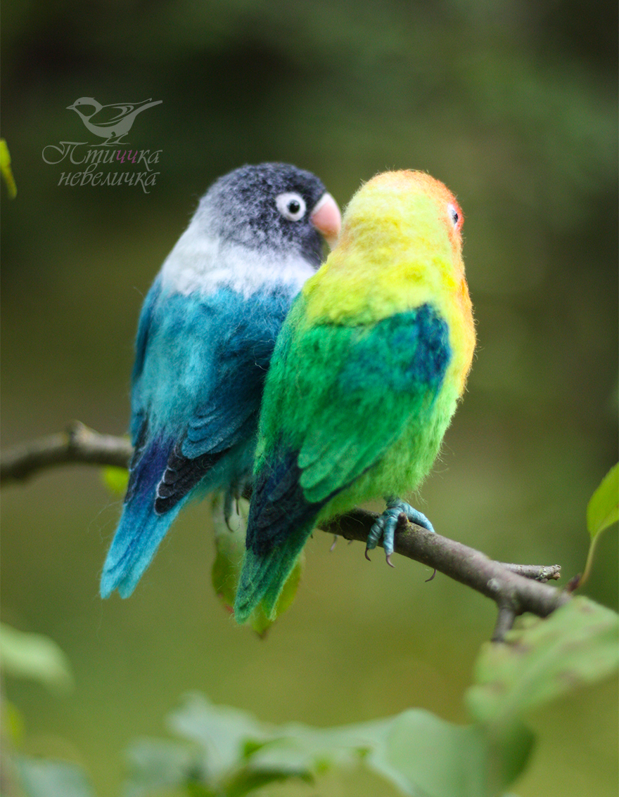 Dry felting. Lovebird parrots - My, Handmade, Needlework without process, Needlework, Dry felting, Hobby, Creation, Birds, Author's toy, Art, Wool, Master, A parrot, Longpost