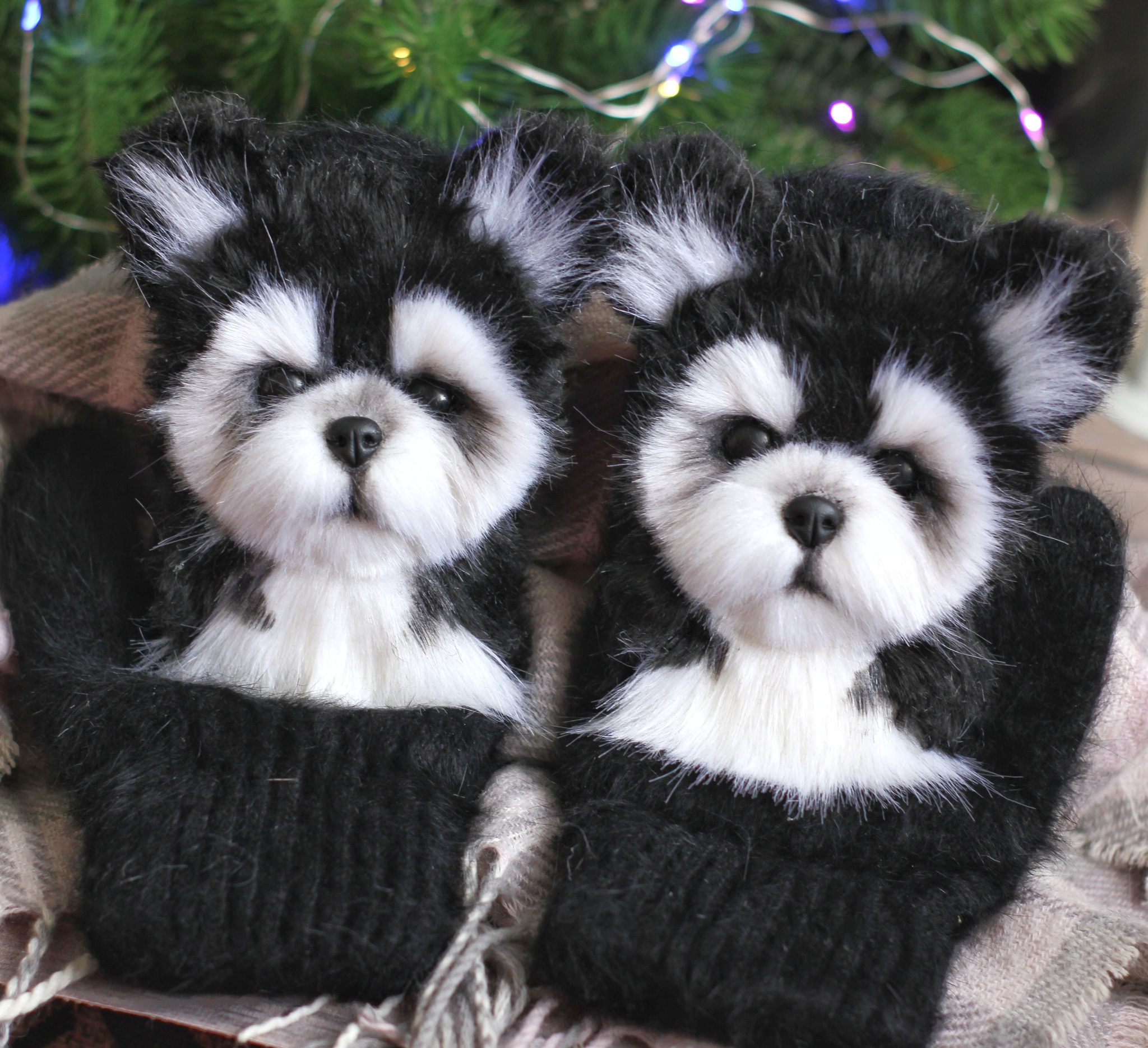 animal mittens - My, Needlework without process, Handmade, Animal husbandry, Mittens, Dog, Video, Soundless, Vertical video