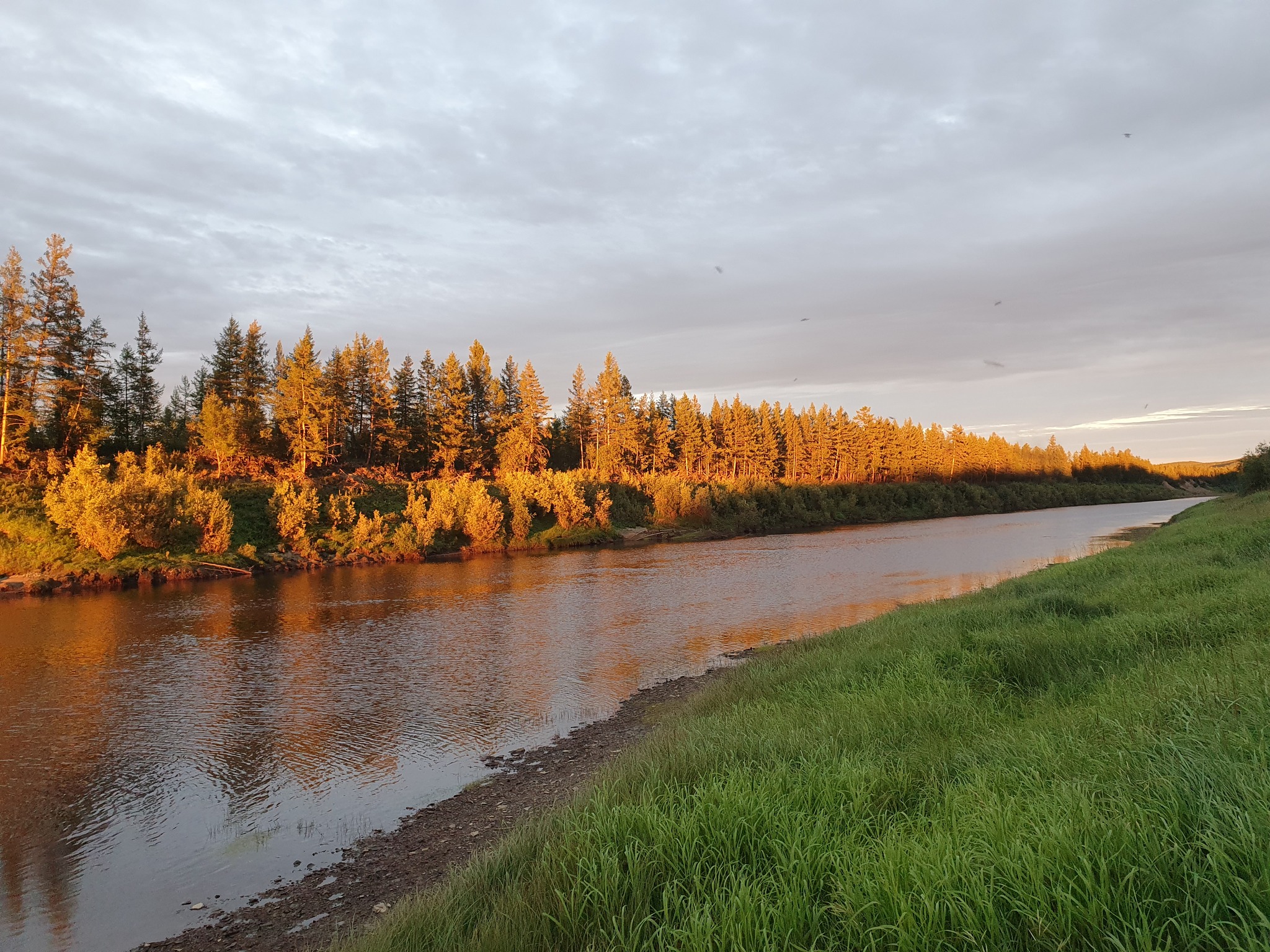 200 km along the taiga river. Photo selection - My, The nature of Russia, Yakutia, The photo, Longpost, River