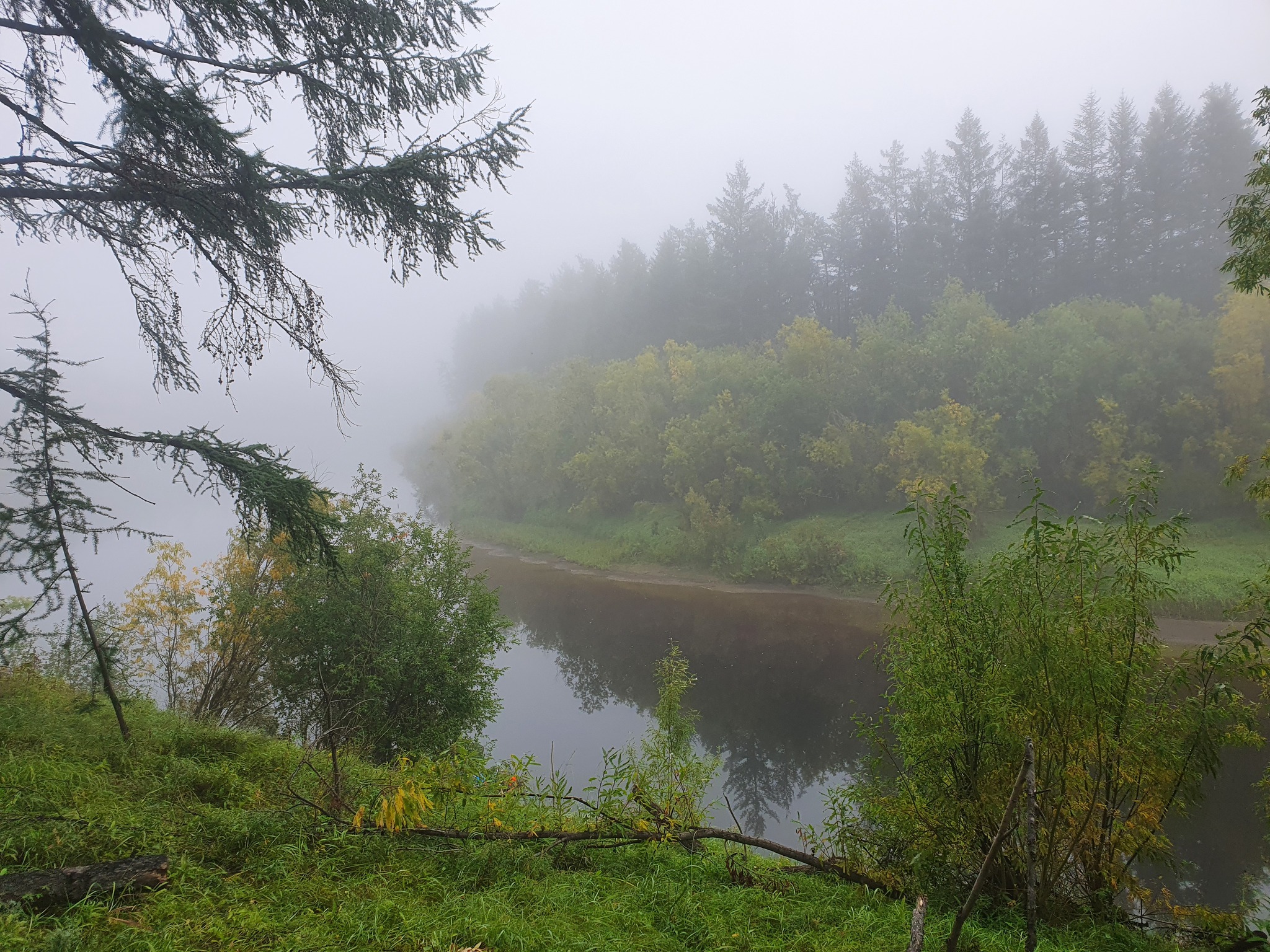 200 km along the taiga river. Photo selection - My, The nature of Russia, Yakutia, The photo, Longpost, River