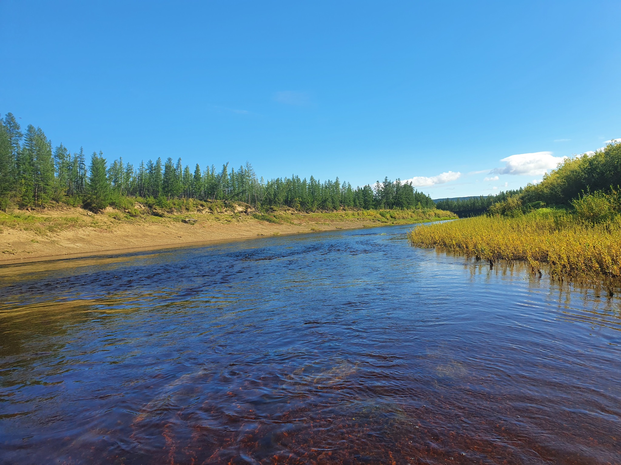 200 km along the taiga river. Photo selection - My, The nature of Russia, Yakutia, The photo, Longpost, River