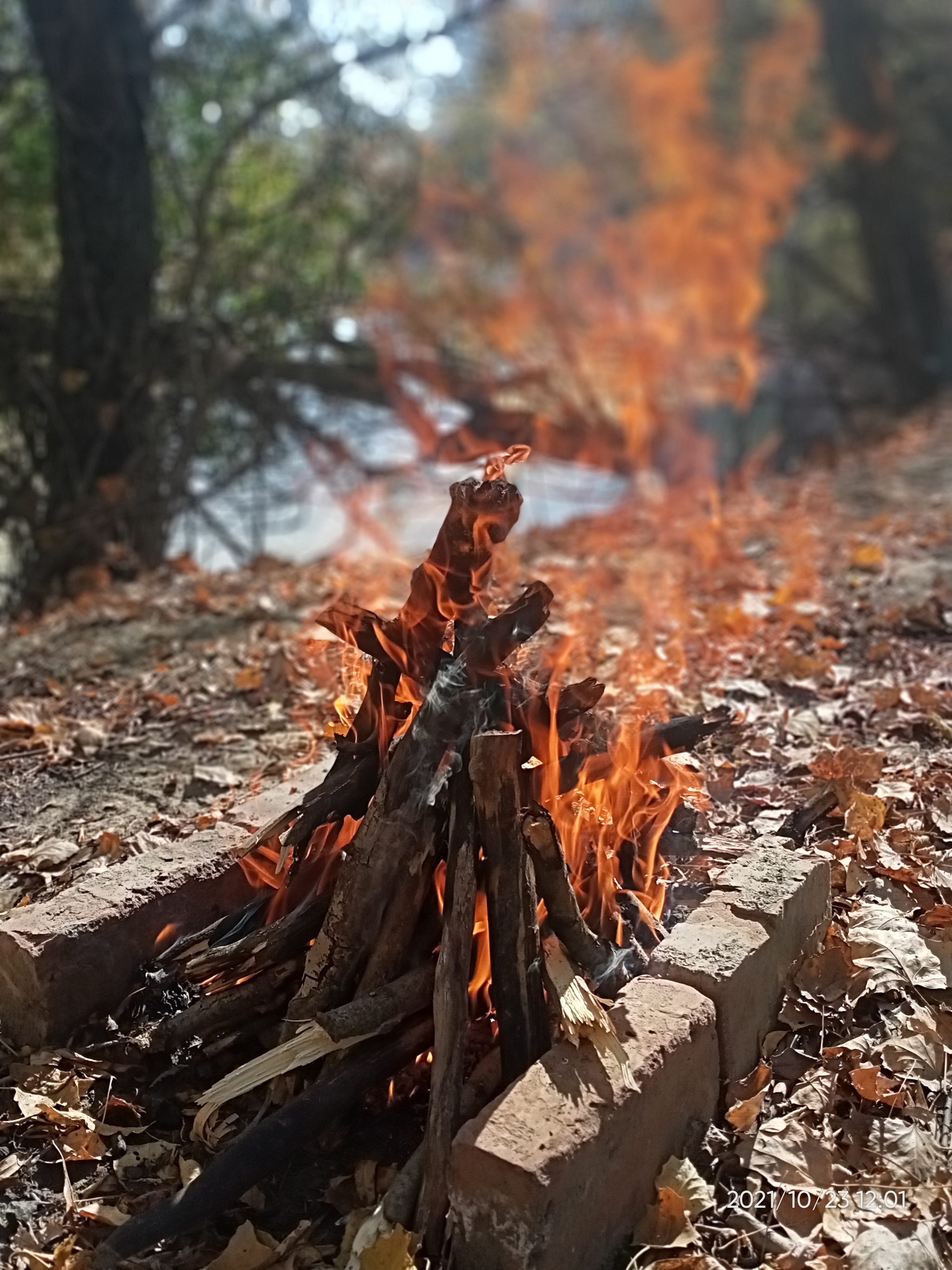 Шашлык. Фотопост - Моё, Шашлык, Приготовление, Мясоеды, Мангал, Длиннопост