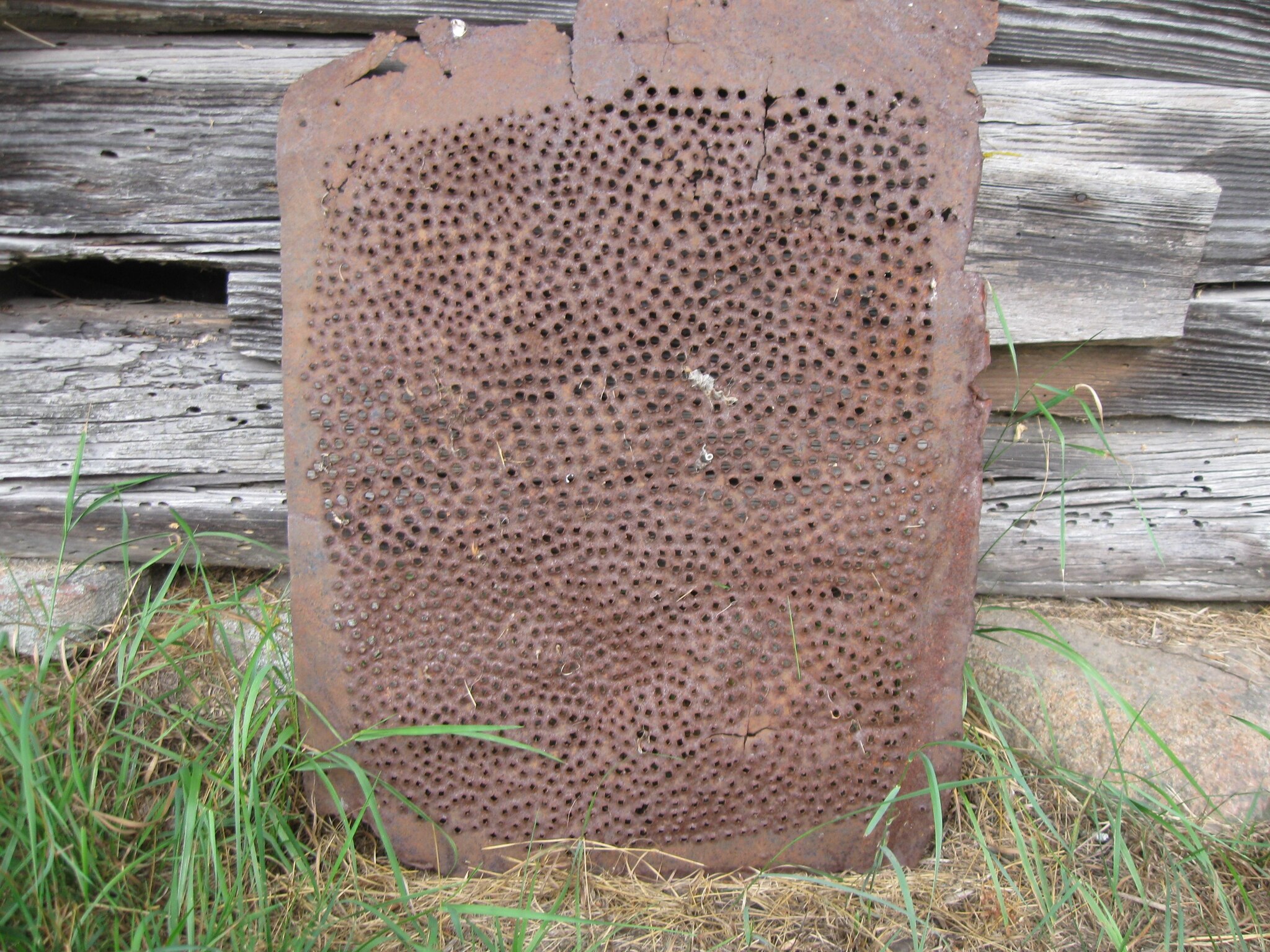 Artifact - My, Abandoned, Farm, Window, Longpost, Cluster holes